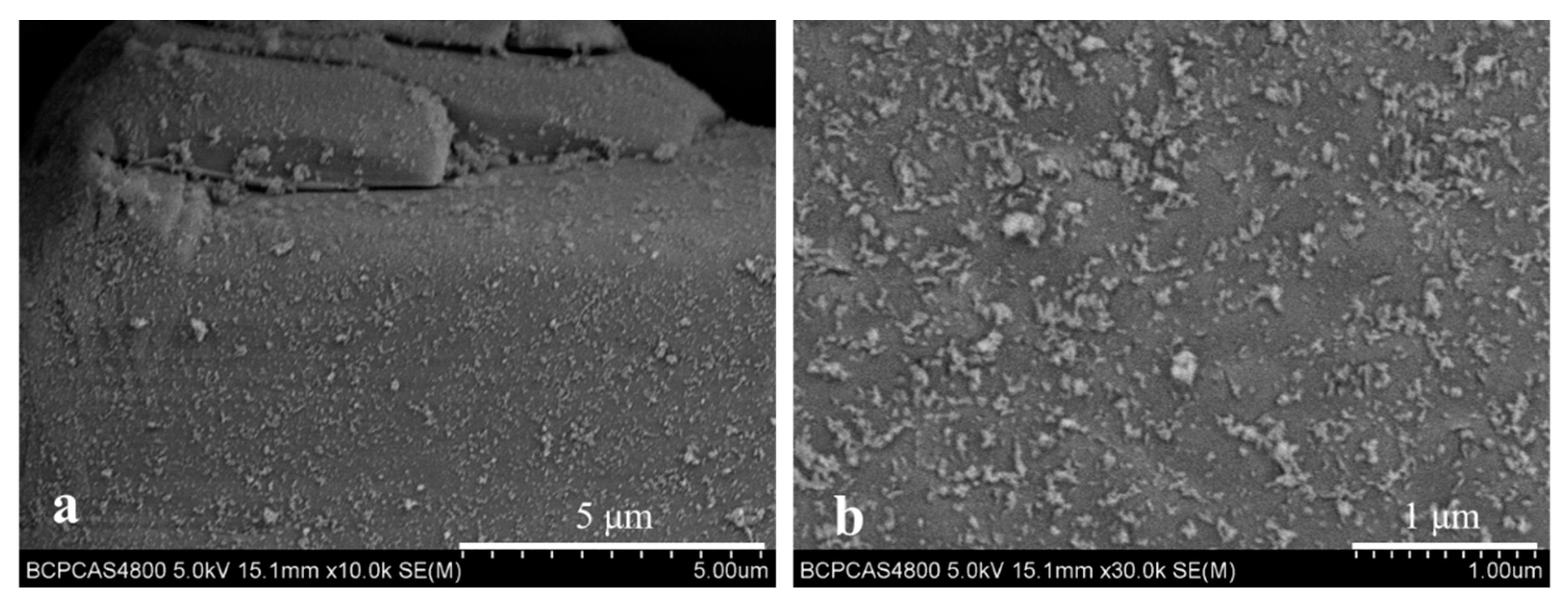 Nanomaterials 12 00606 g004