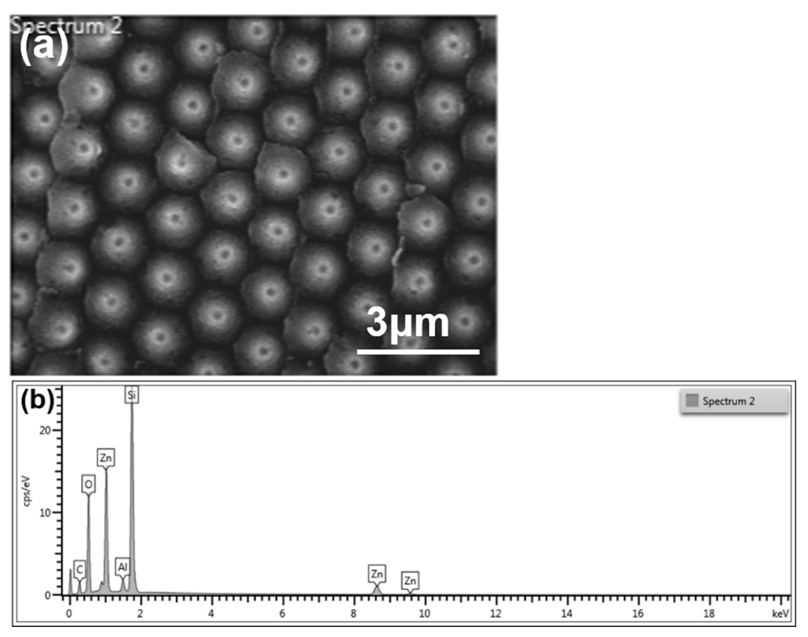 Nanomaterials 12 00612 g005 550
