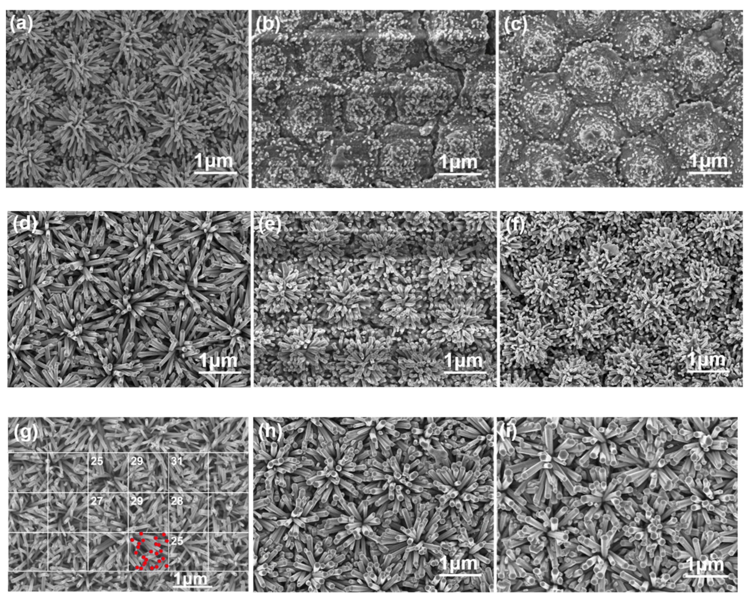 Nanomaterials 12 00612 g006 550