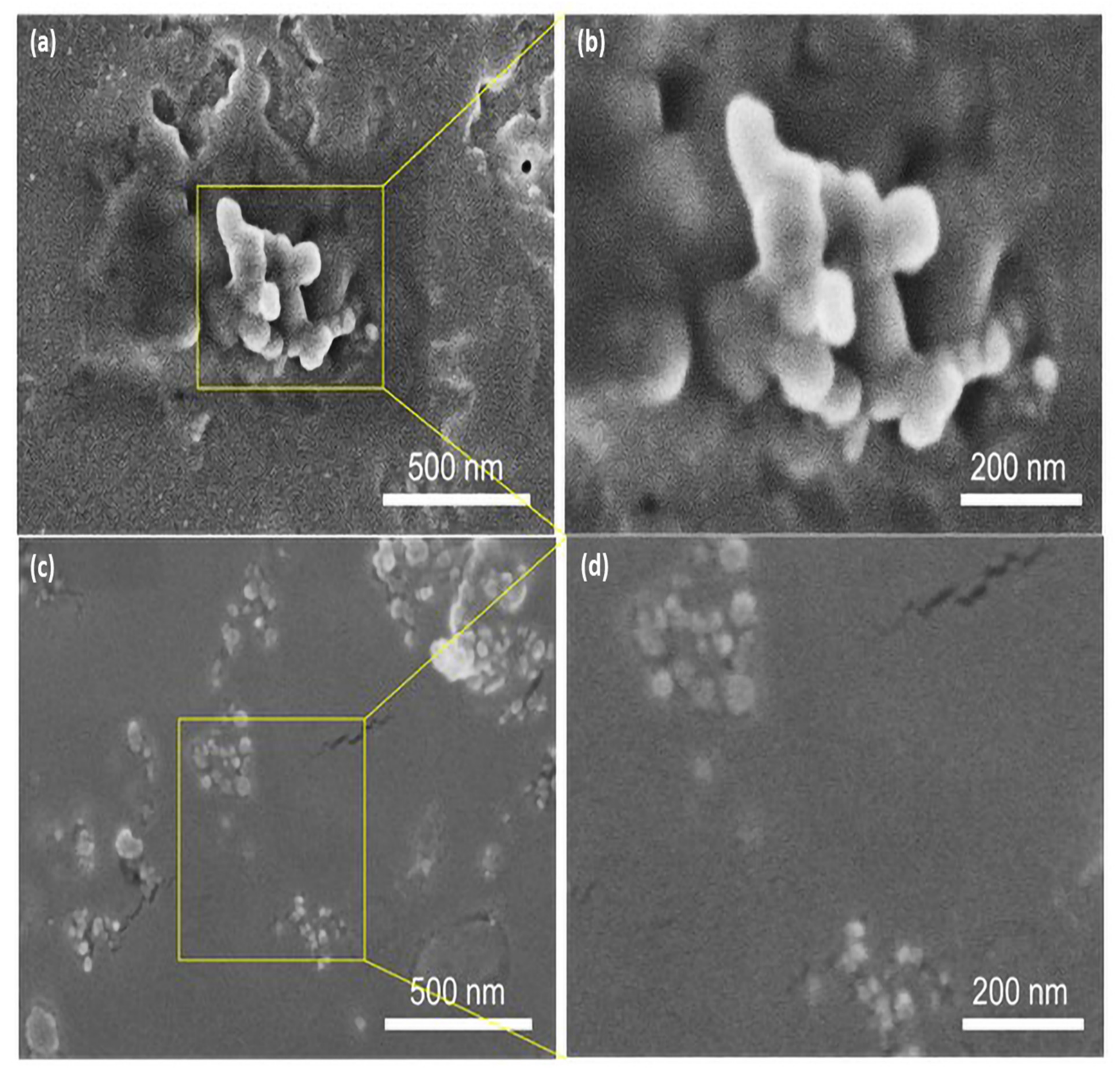 Nanomaterials 12 00616 g006 550