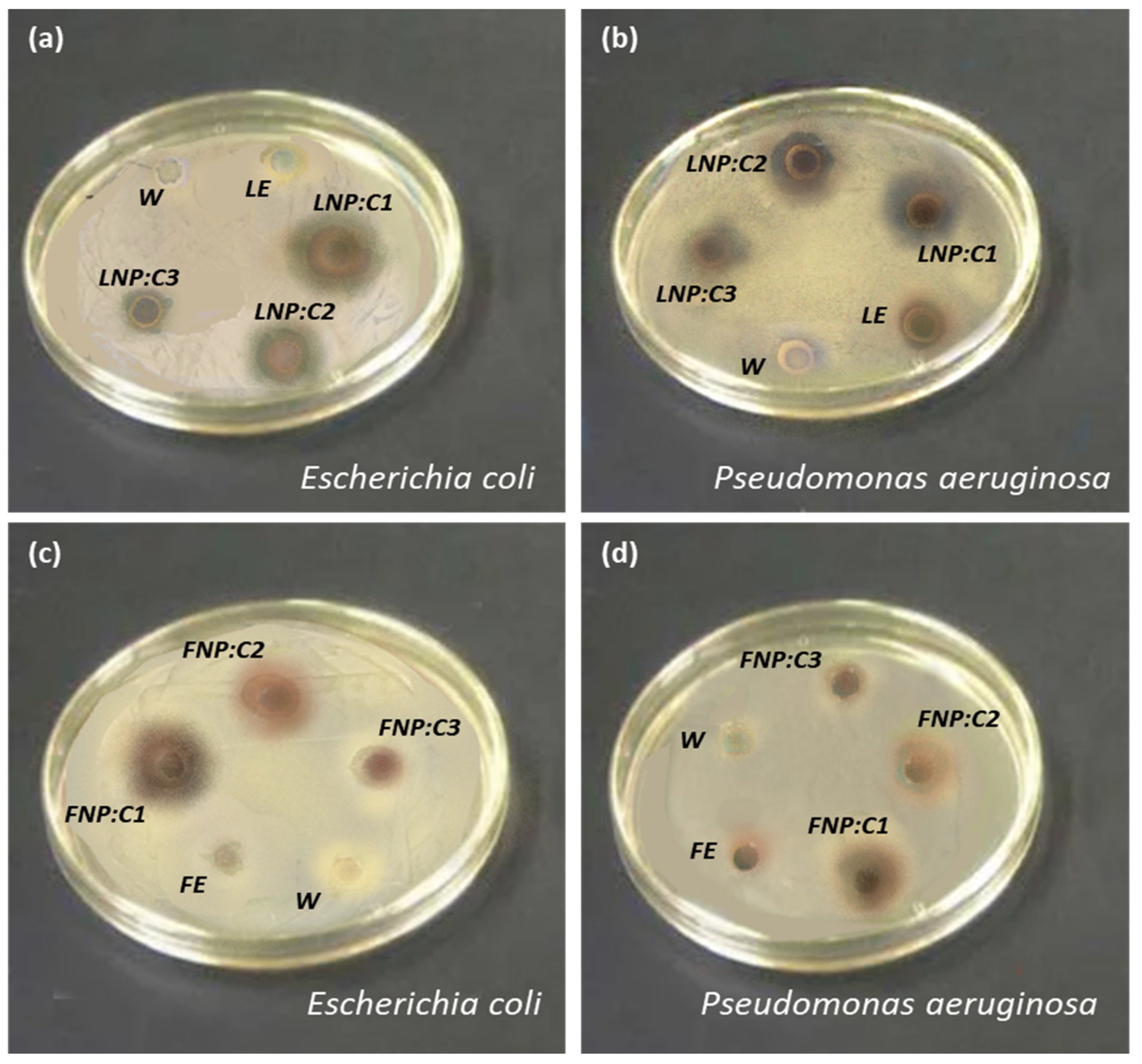 Nanomaterials 12 00616 g008 550