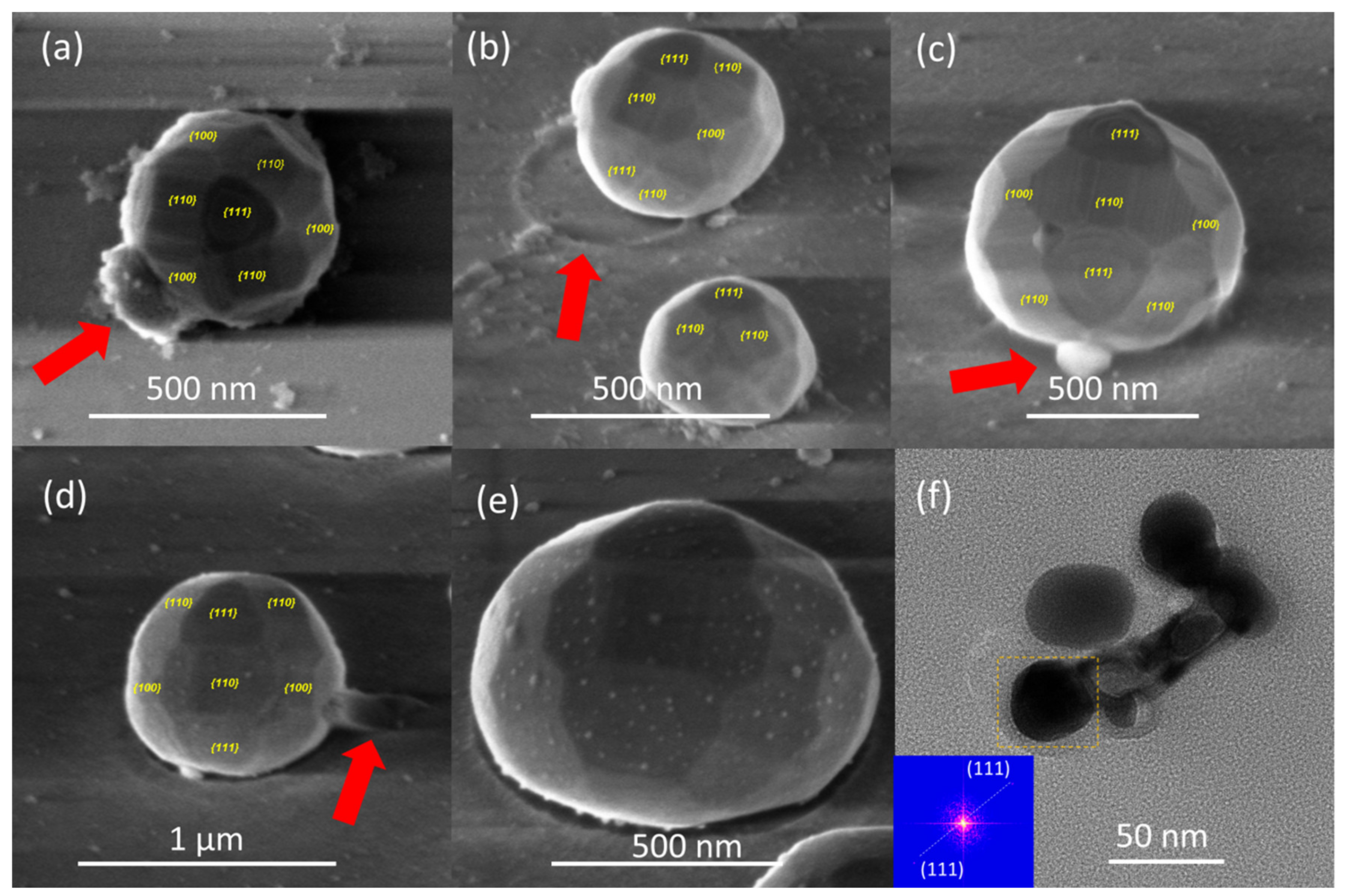 Nanomaterials 12 00617 g013