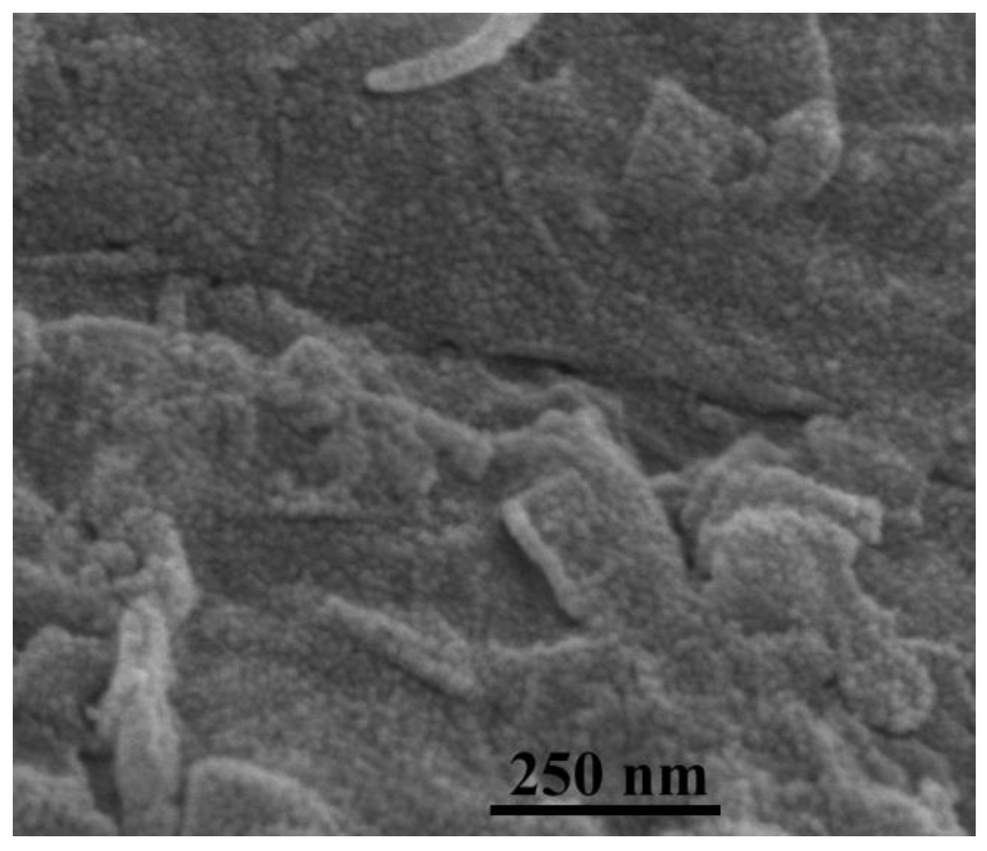 Nanomaterials 12 00621 g003 550