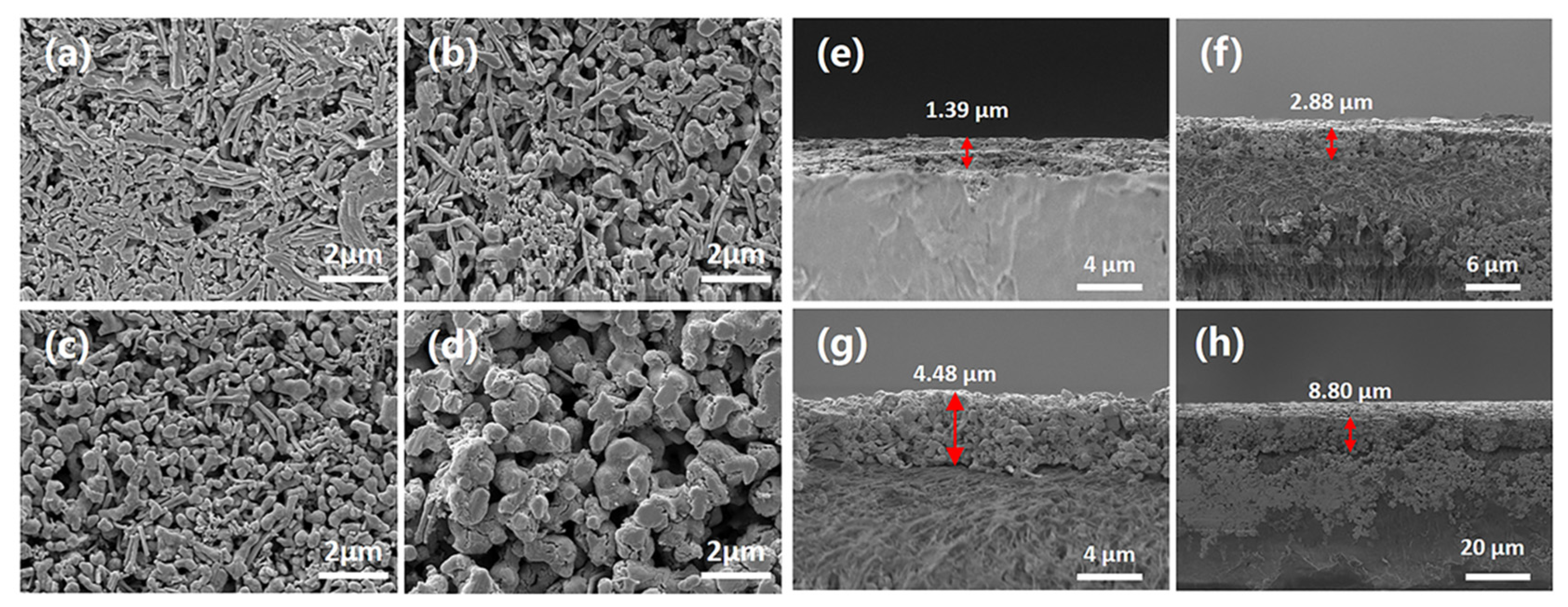 Nanomaterials 12 00624 g002 550