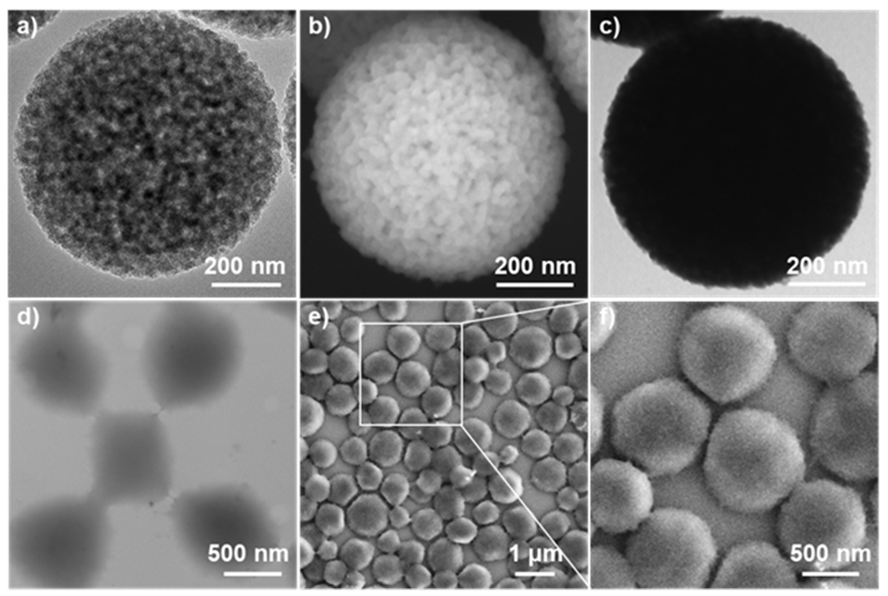 Nanomaterials 12 00625 g001 550