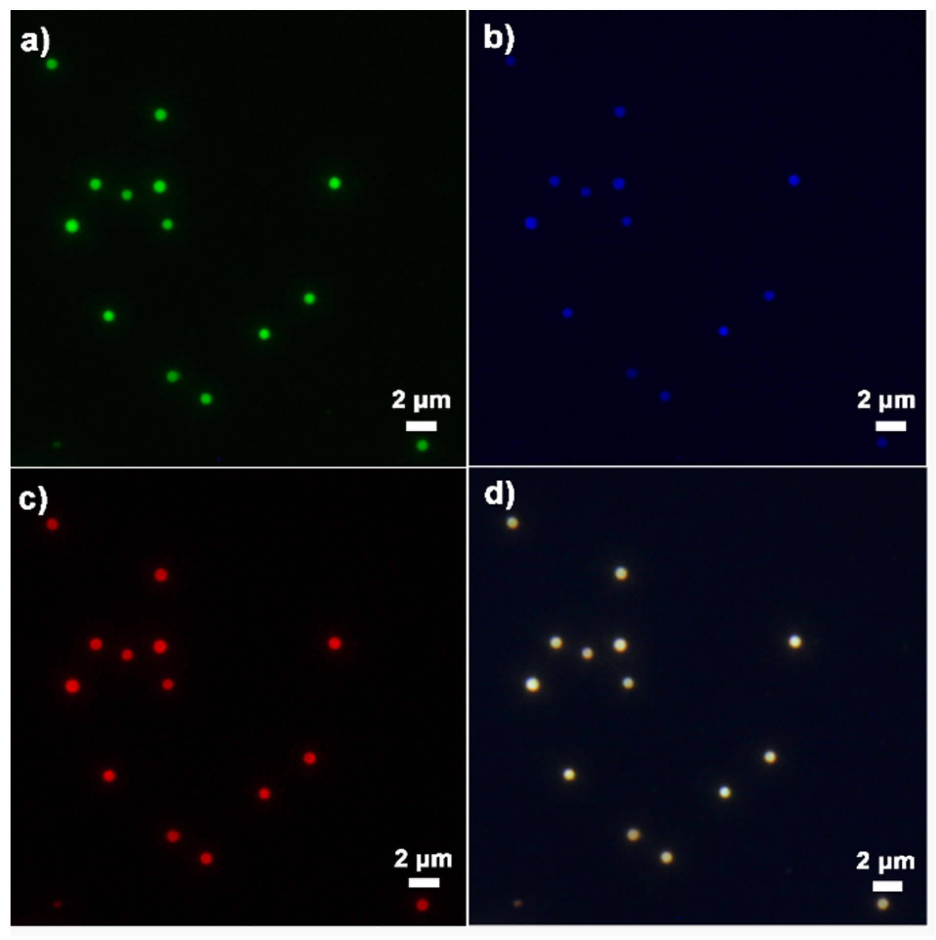 Nanomaterials 12 00625 g004 550