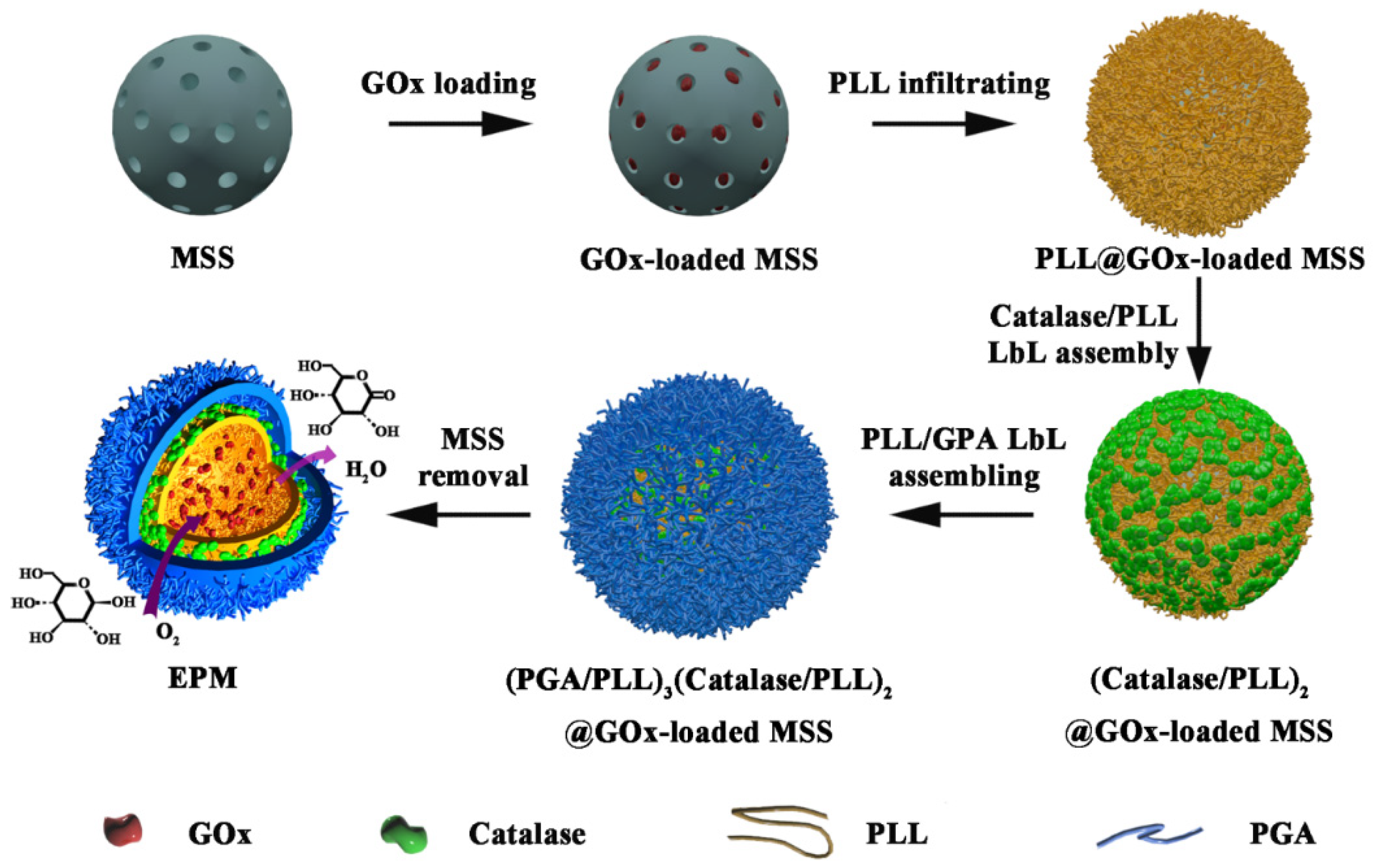 Nanomaterials 12 00625 sch001 550