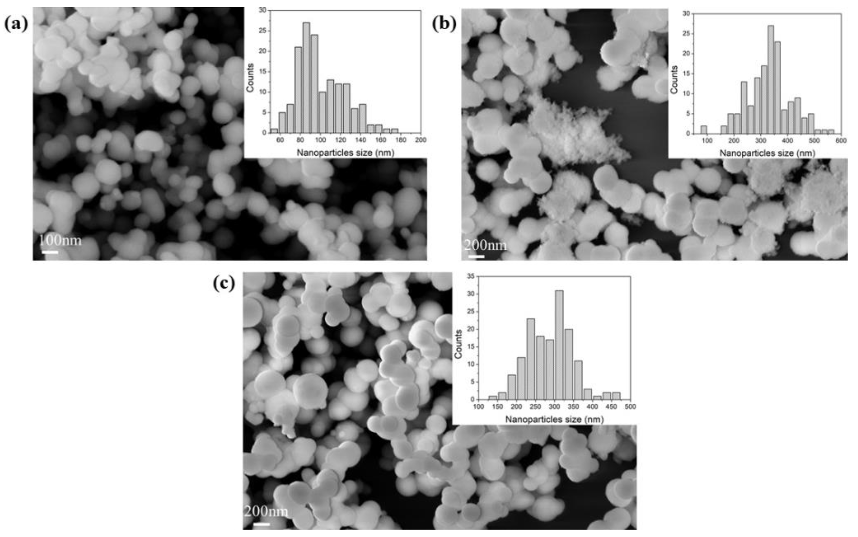 Nanomaterials 12 00626 g001 550