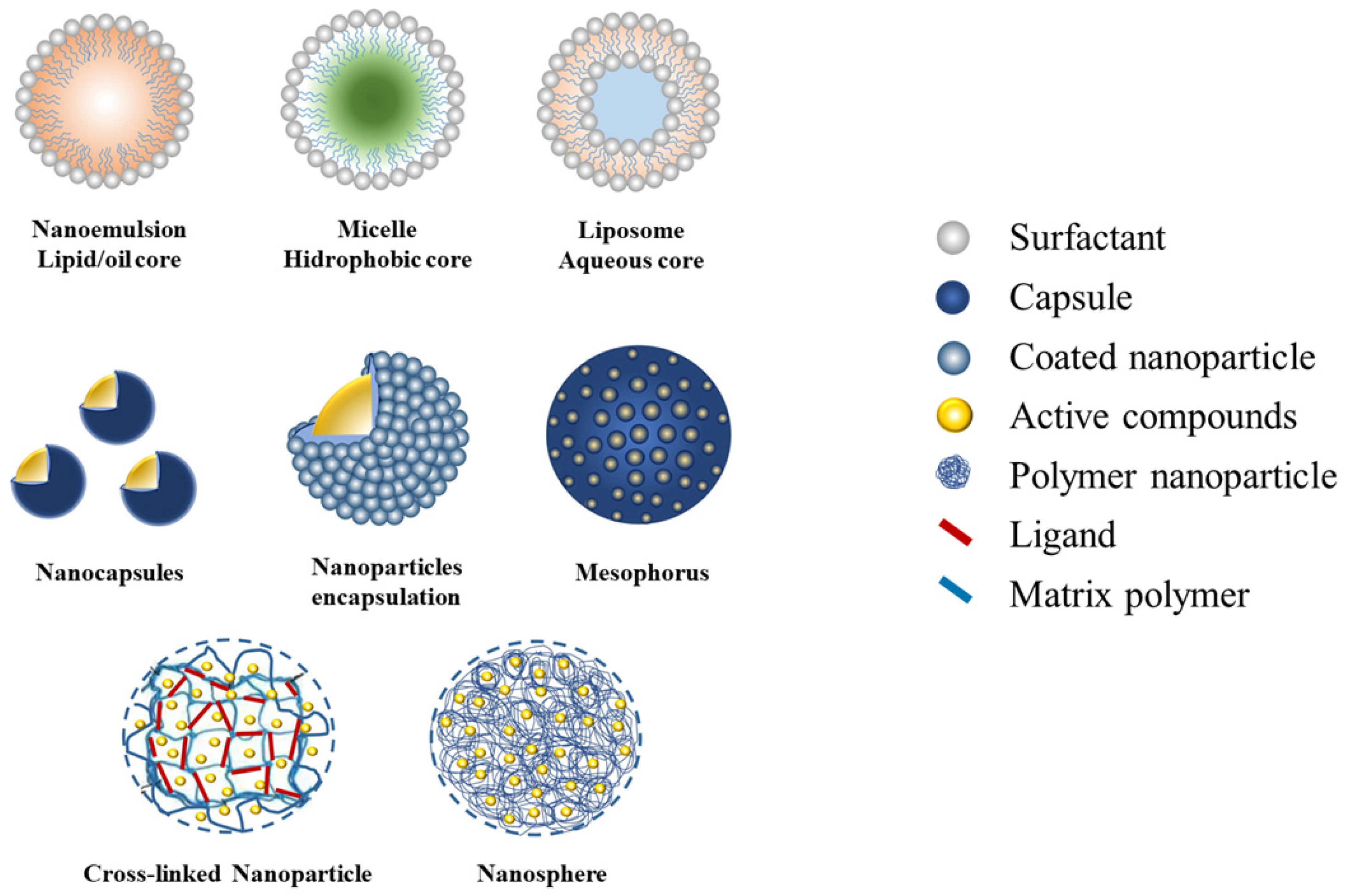 Nanomaterials 12 00630 g002 550