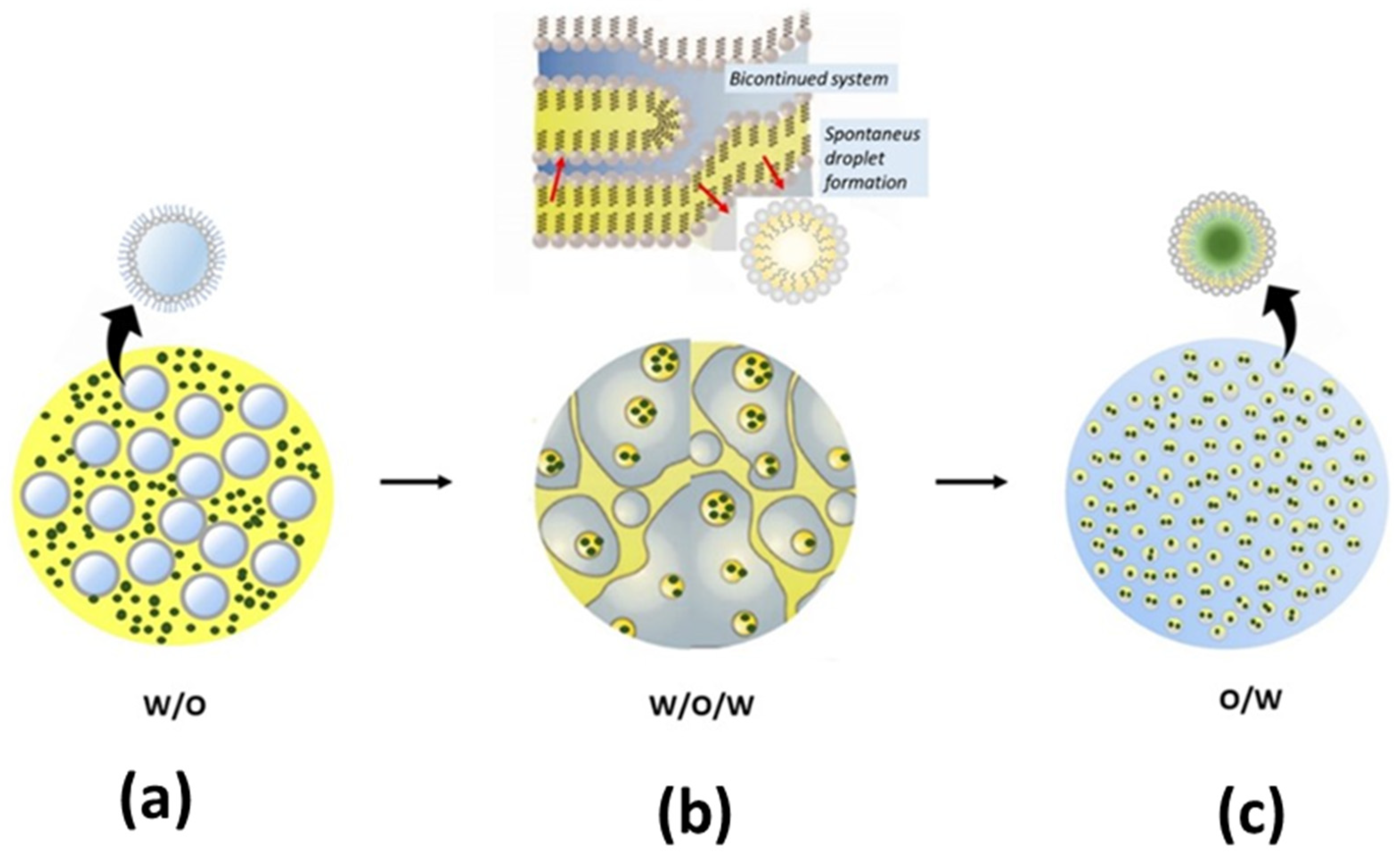 Nanomaterials 12 00630 g003 550