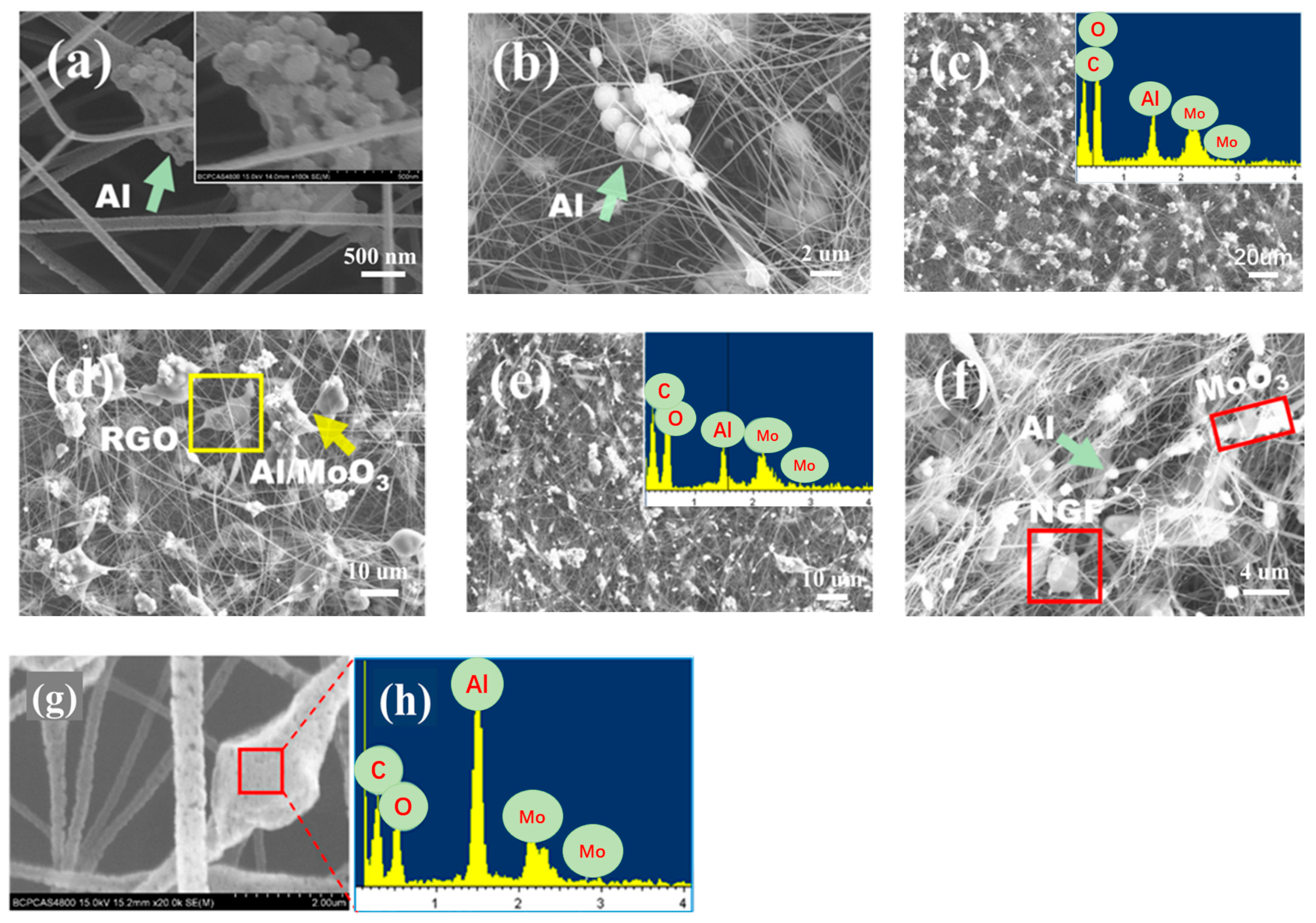Nanomaterials 12 00635 g002 550