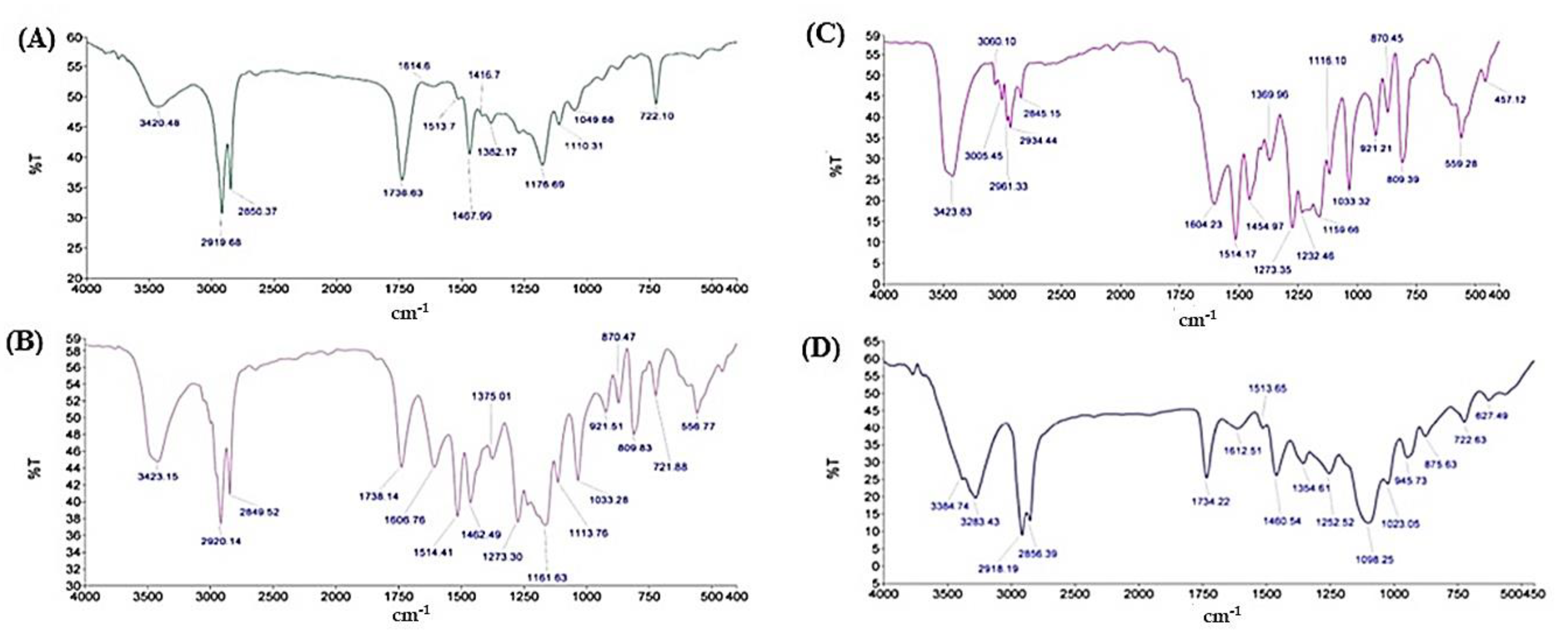 Nanomaterials 12 00636 g002