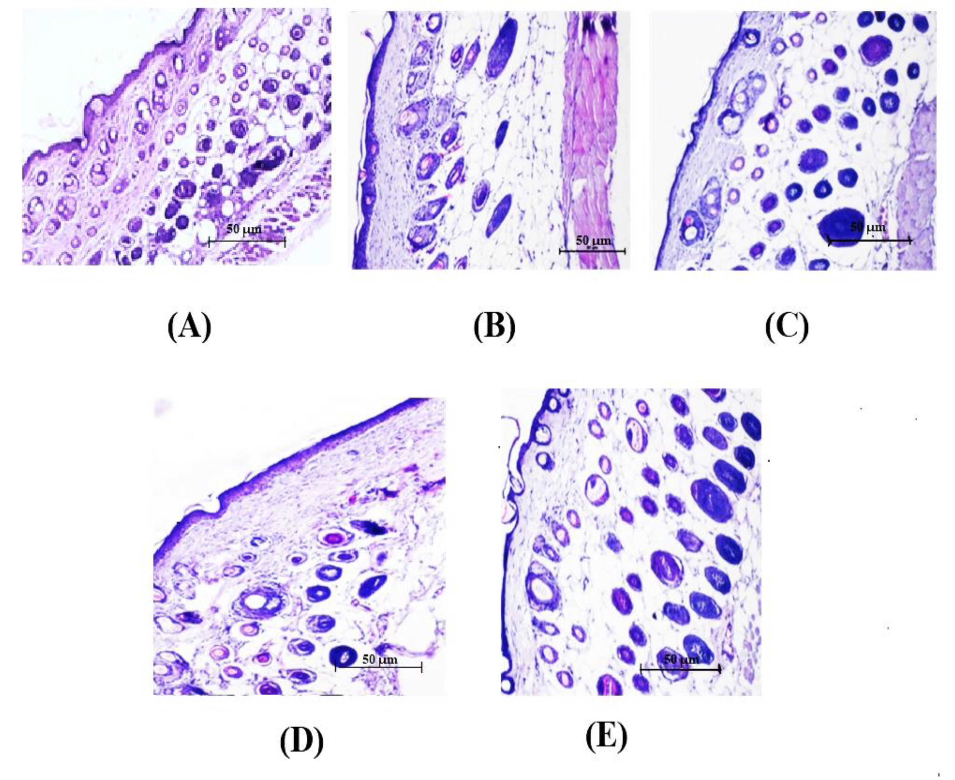 Nanomaterials 12 00636 g004
