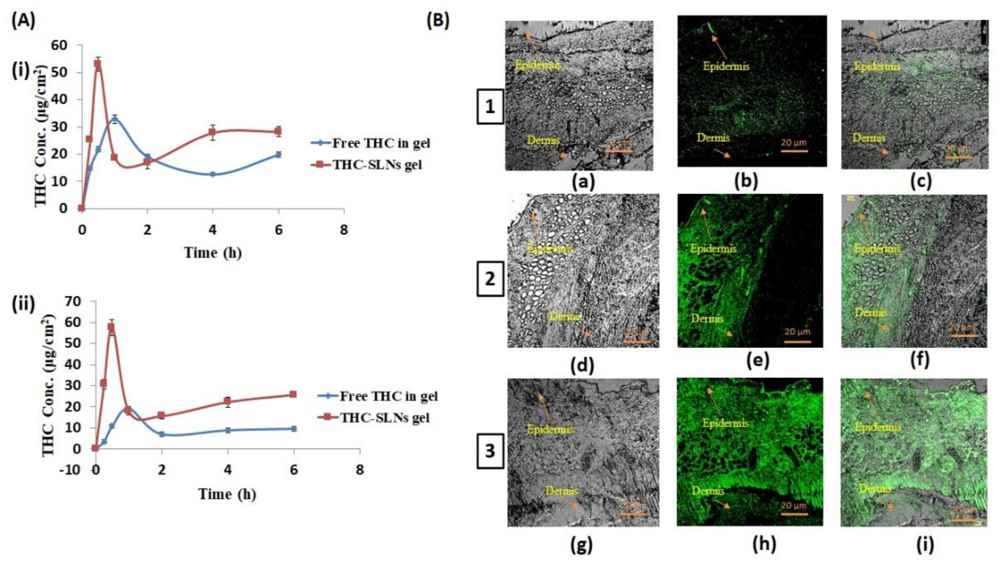 Nanomaterials 12 00636 g005