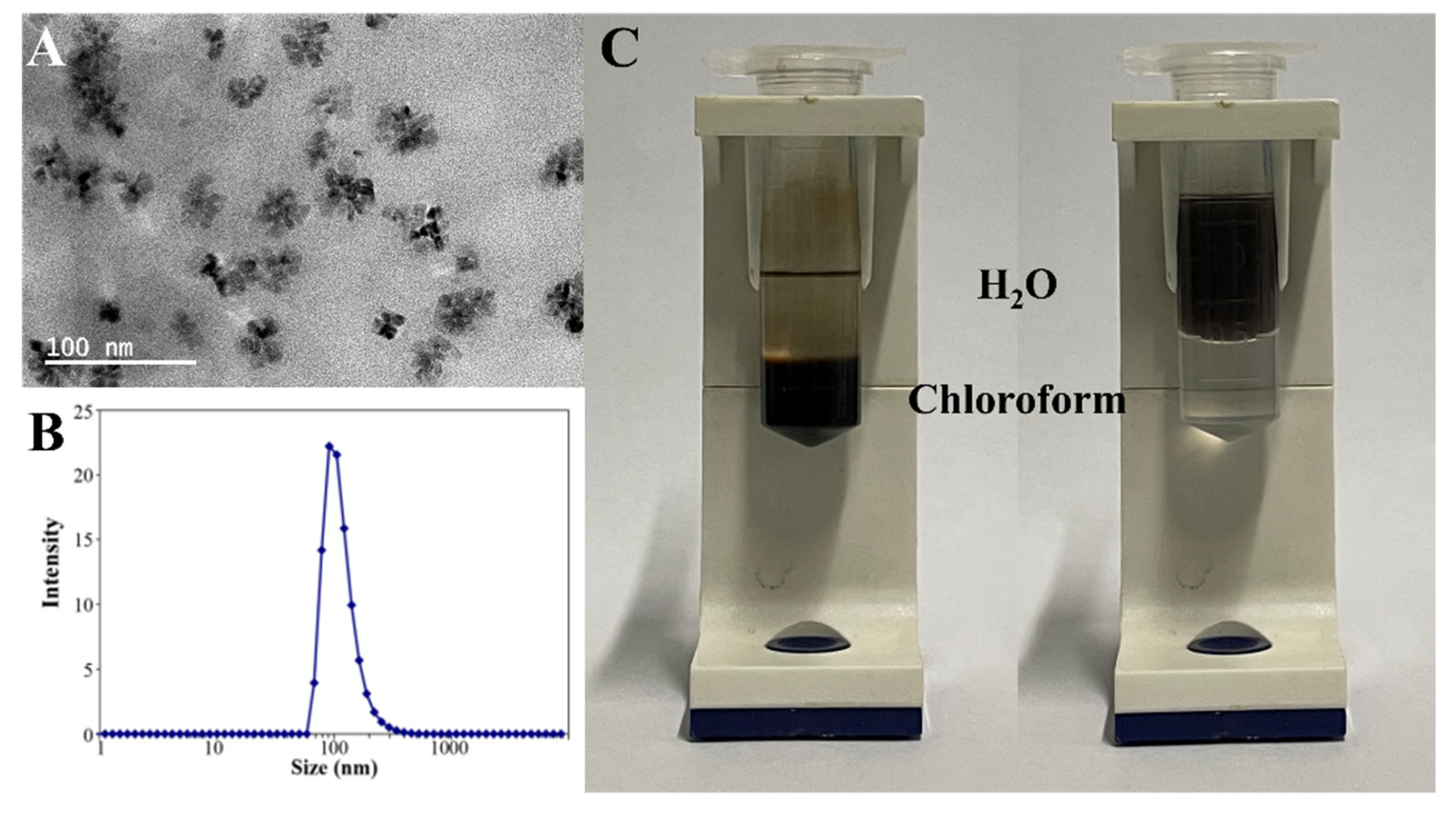 Nanomaterials 12 00638 g002 550