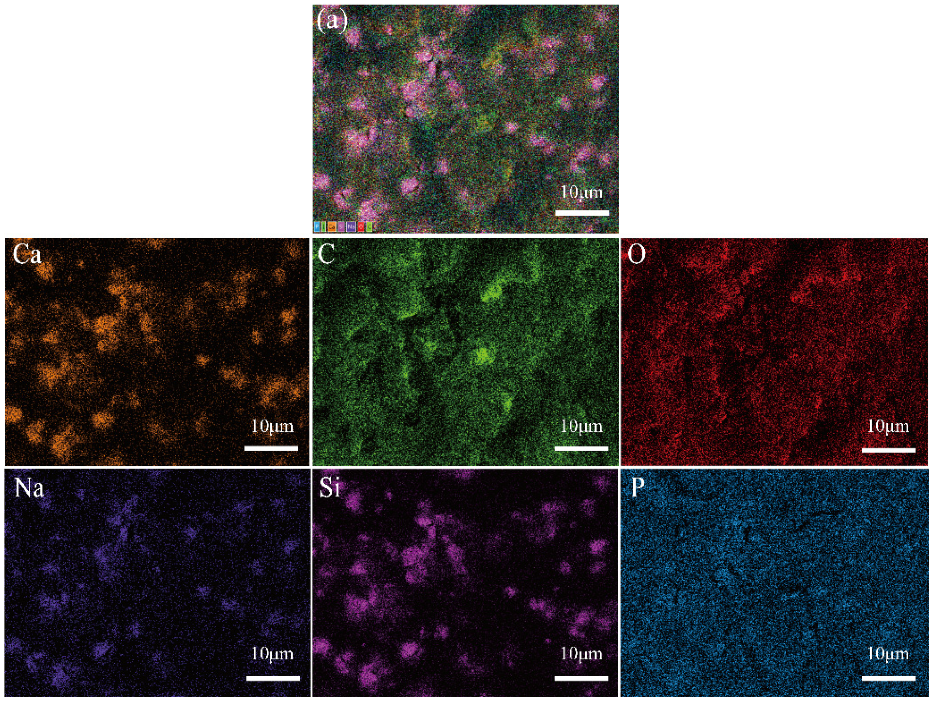Nanomaterials 12 00641 g005