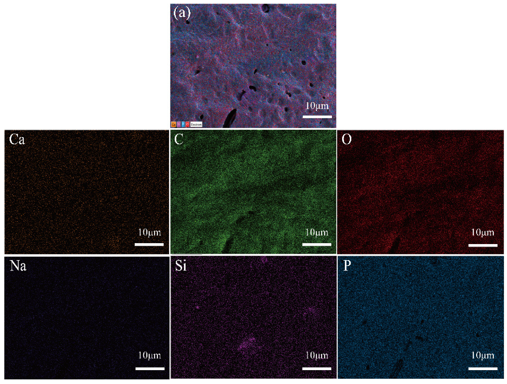 Nanomaterials 12 00641 g006