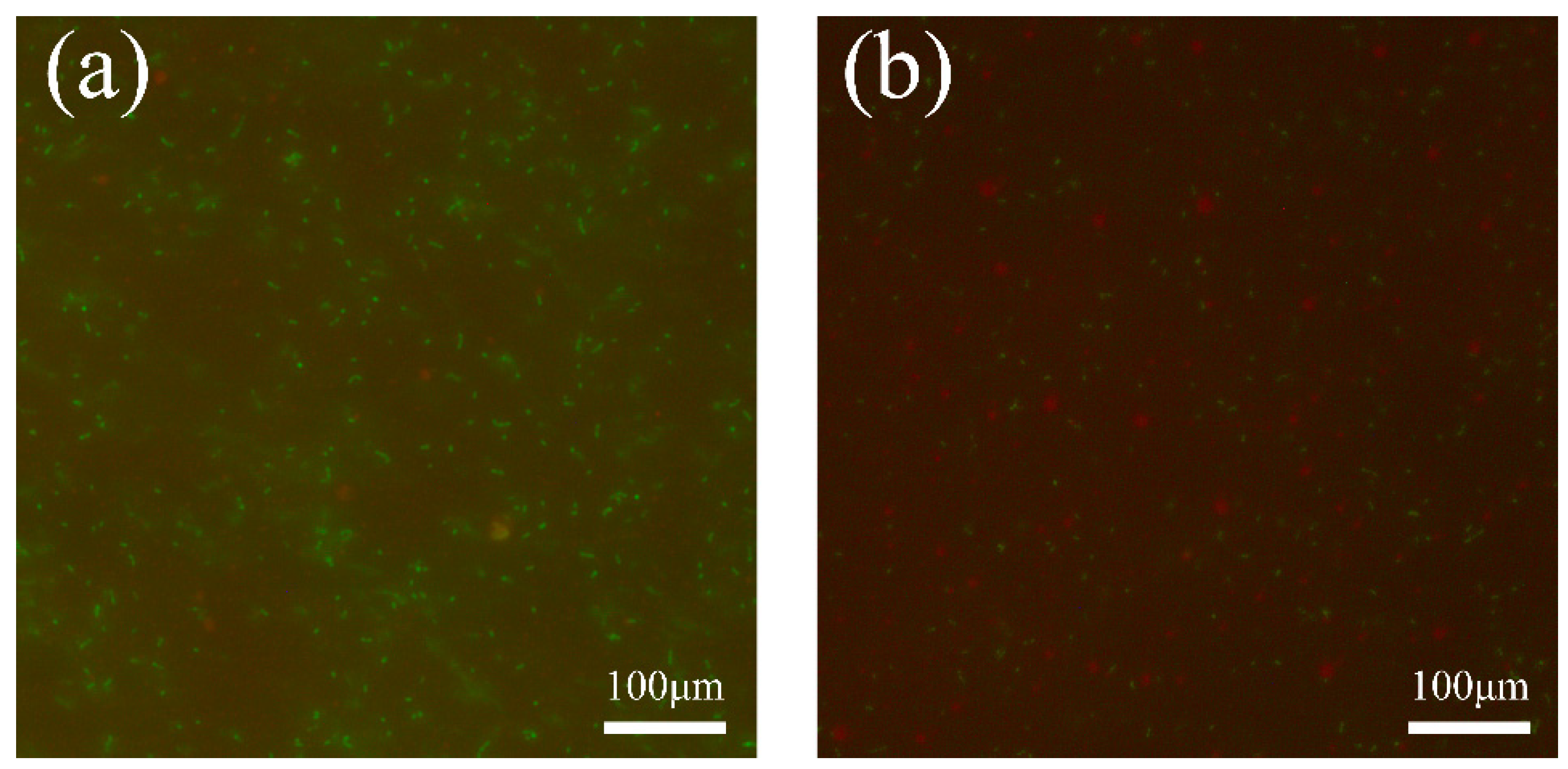 Nanomaterials 12 00641 g009