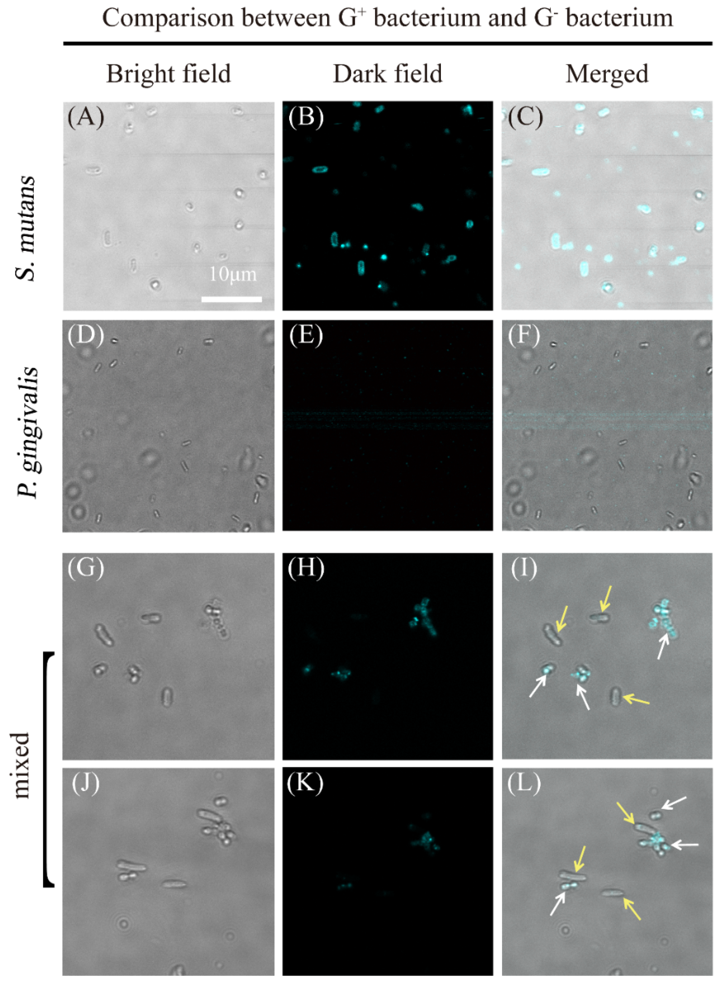 Nanomaterials 12 00641 g011