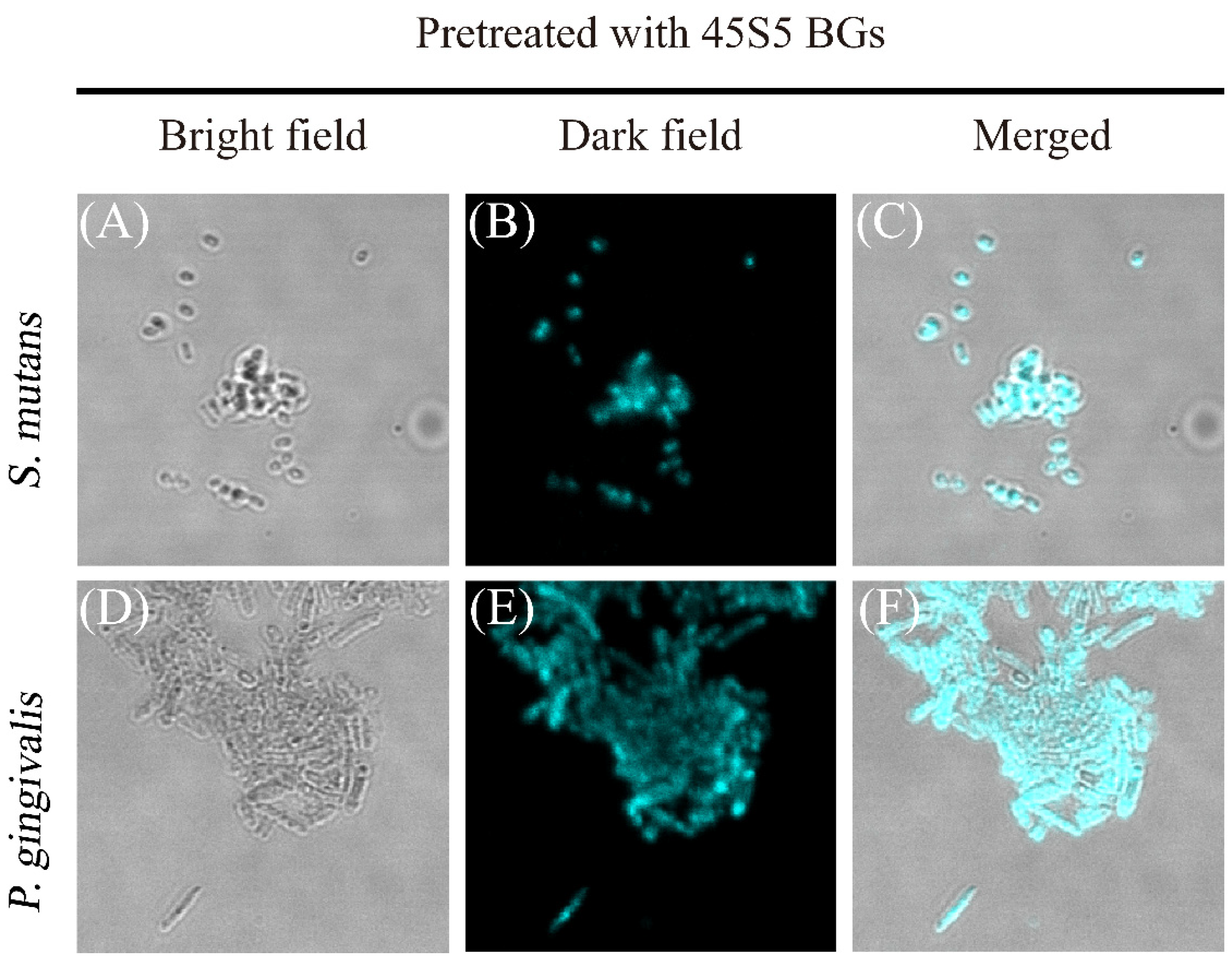 Nanomaterials 12 00641 g012