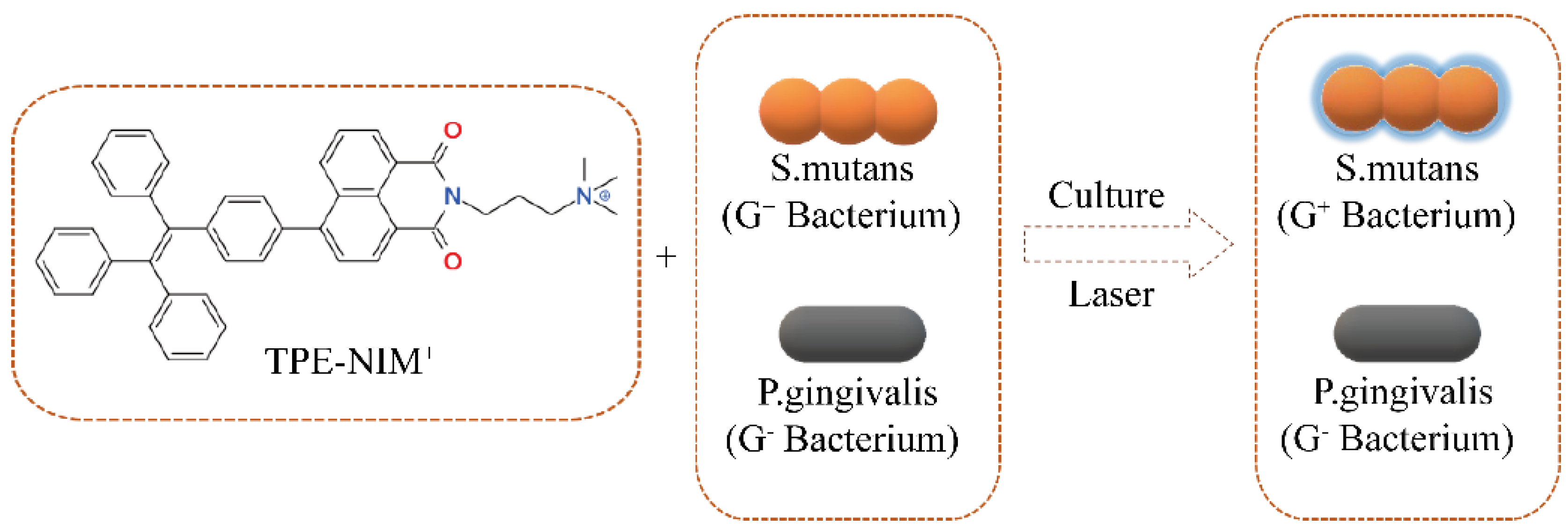 Nanomaterials 12 00641 sch001