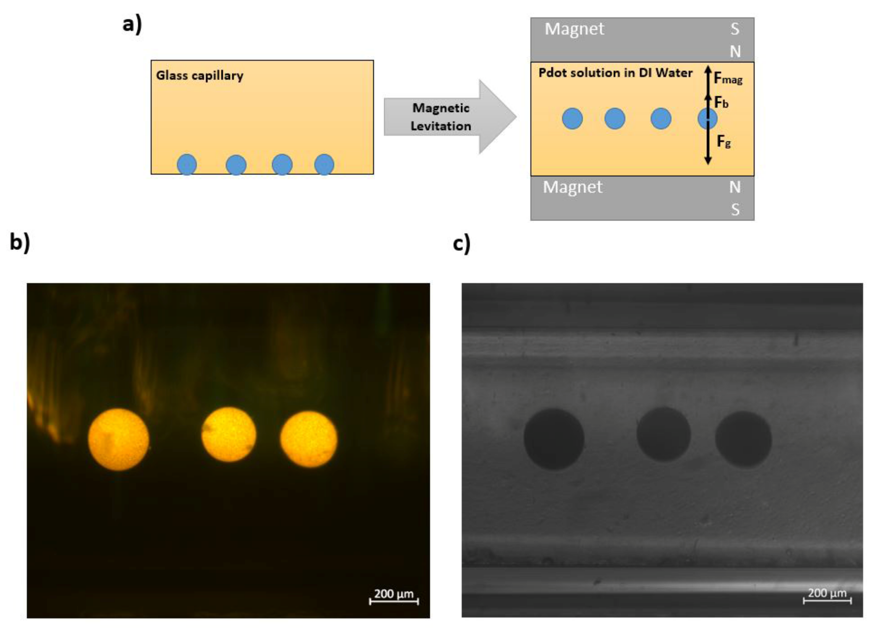 Nanomaterials 12 00642 g004