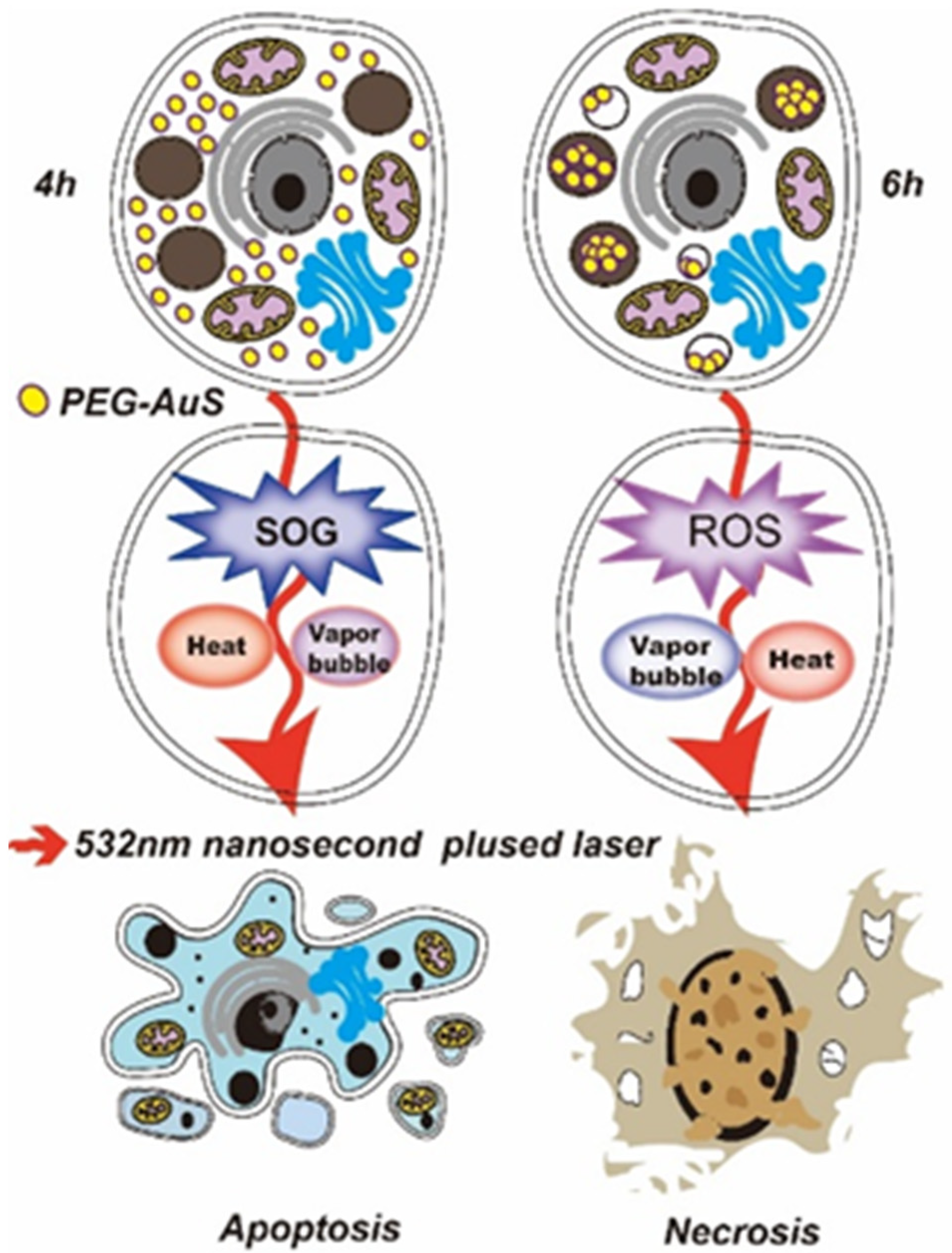 Nanomaterials | Free Full-Text | Influence of Parameters on the 