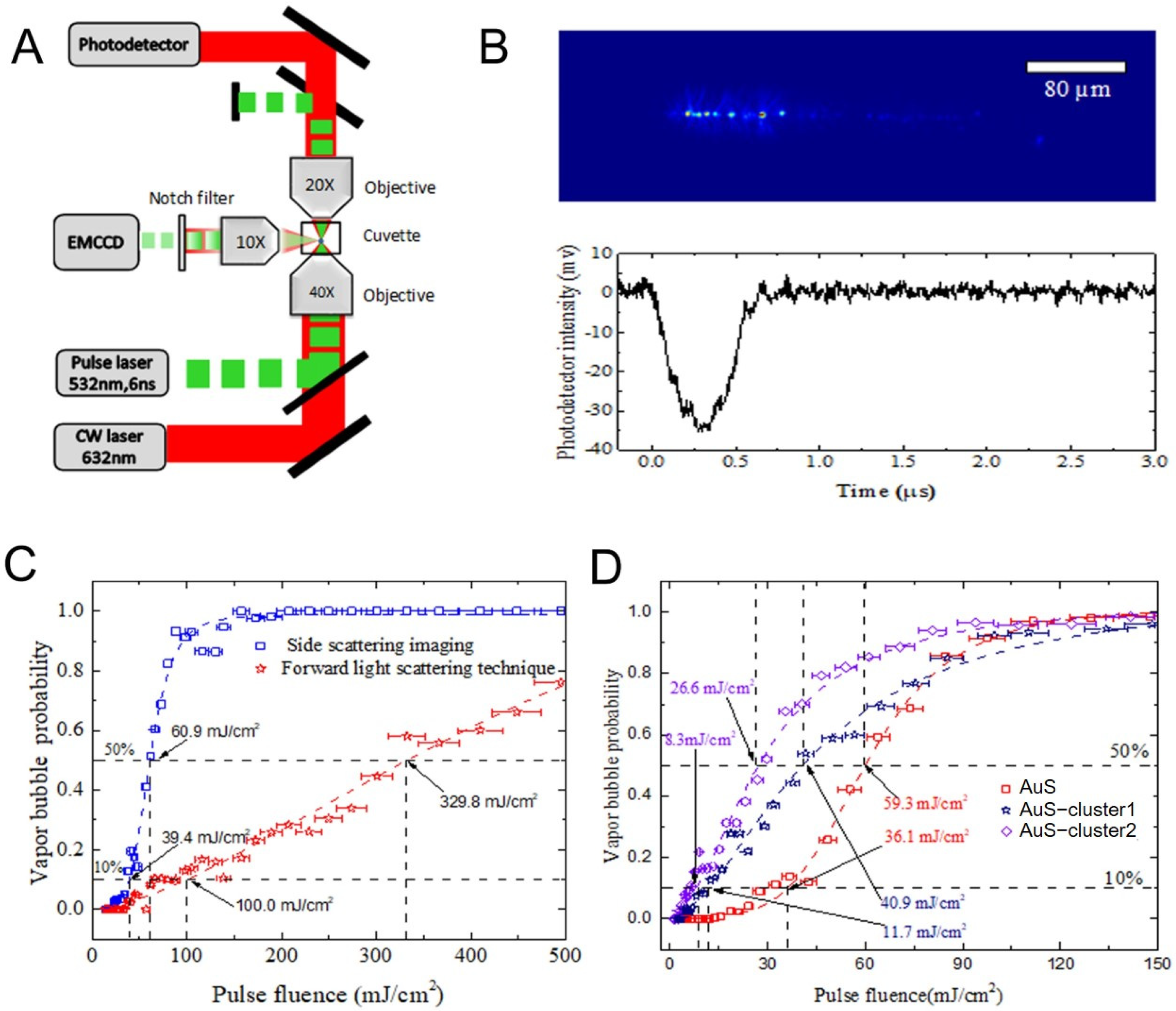 Nanomaterials 12 00646 g010 550