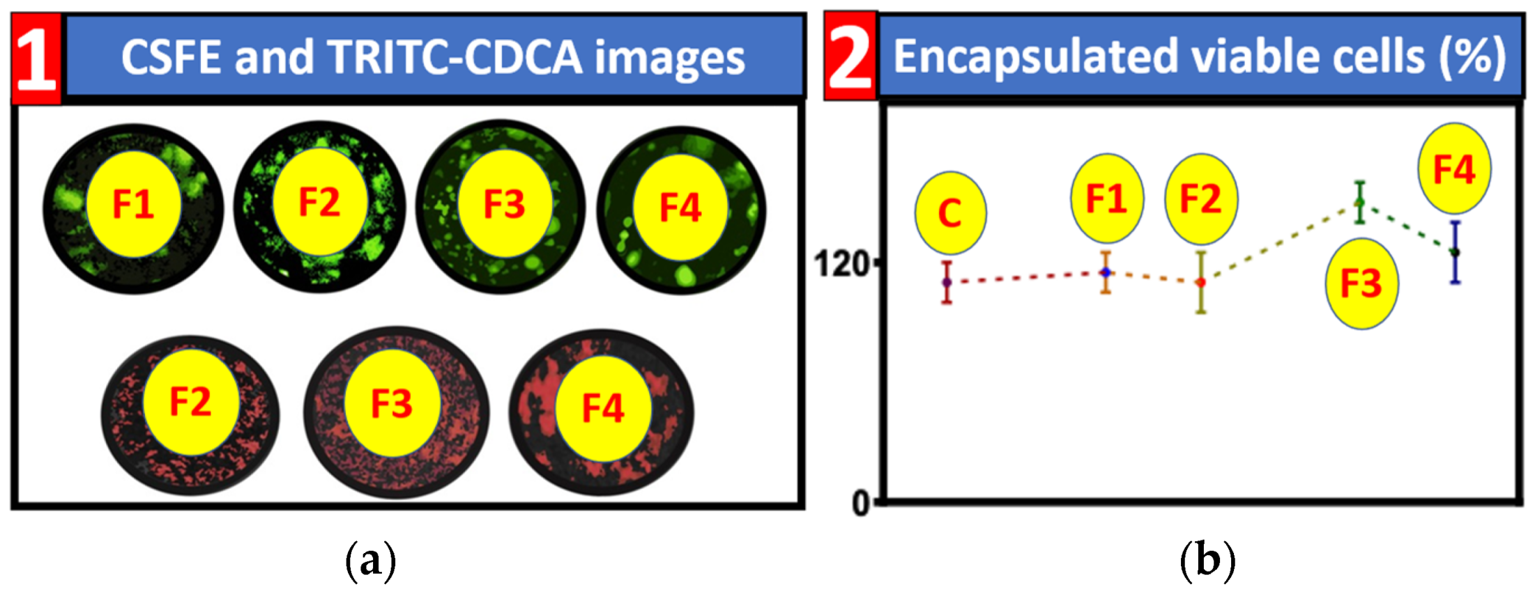 Nanomaterials 12 00647 g001 Nanomaterials 12 00647 g001
