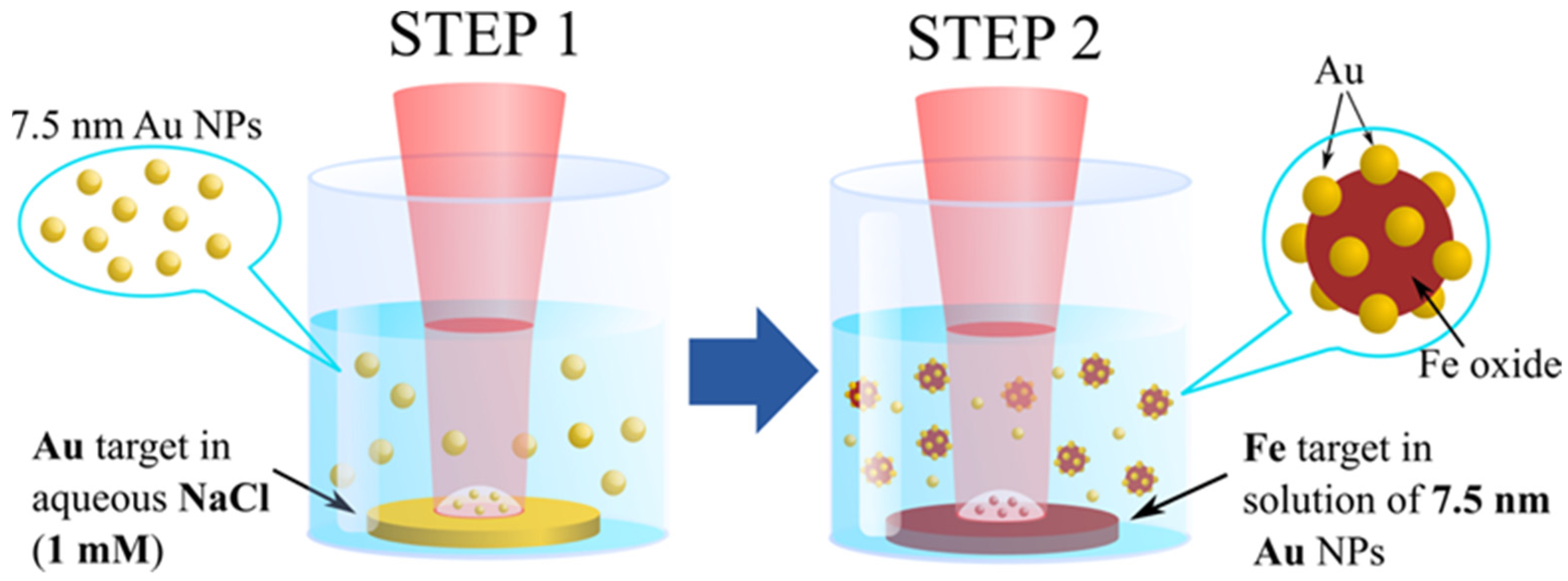 Nanomaterials 12 00649 g001