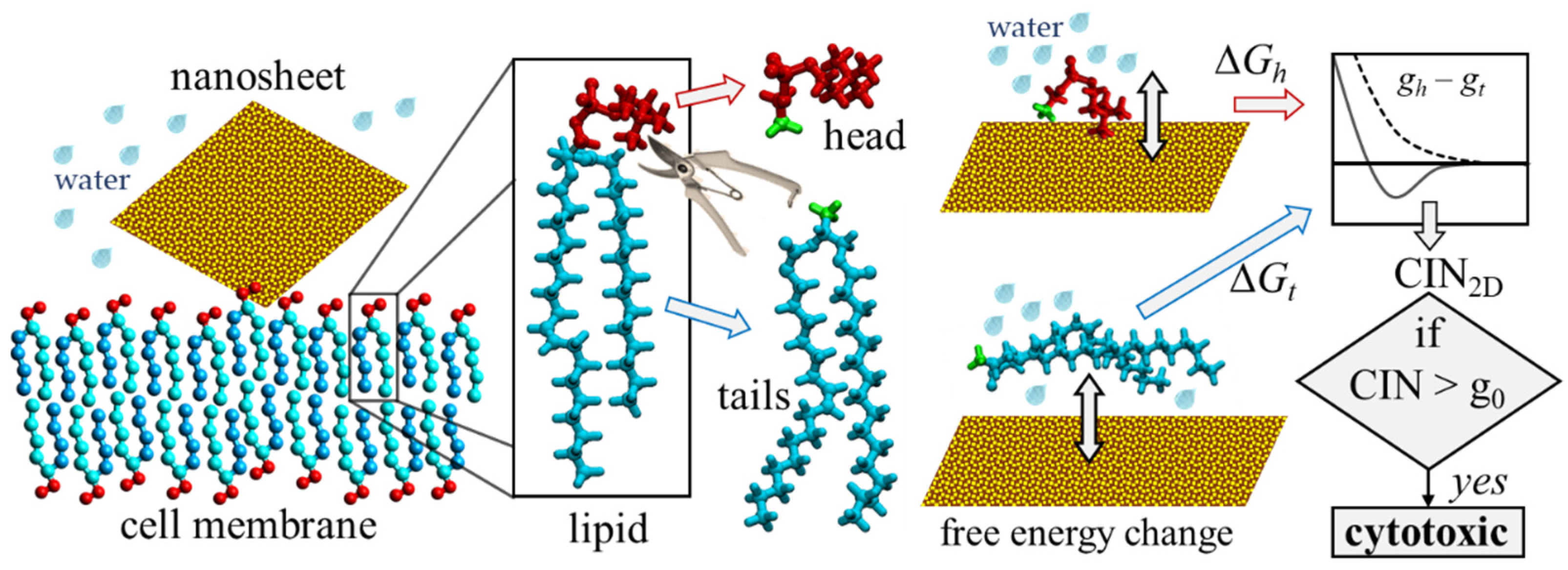 Nanomaterials 12 00650 g002