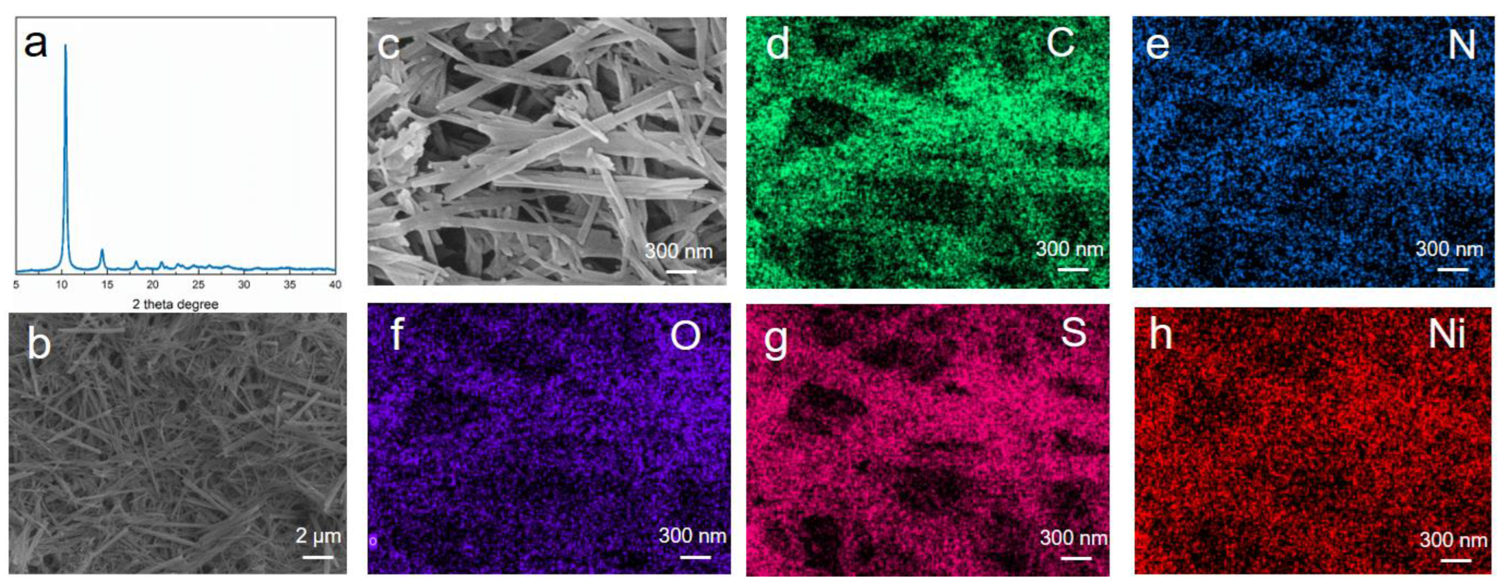 Nanomaterials 12 00655 g001