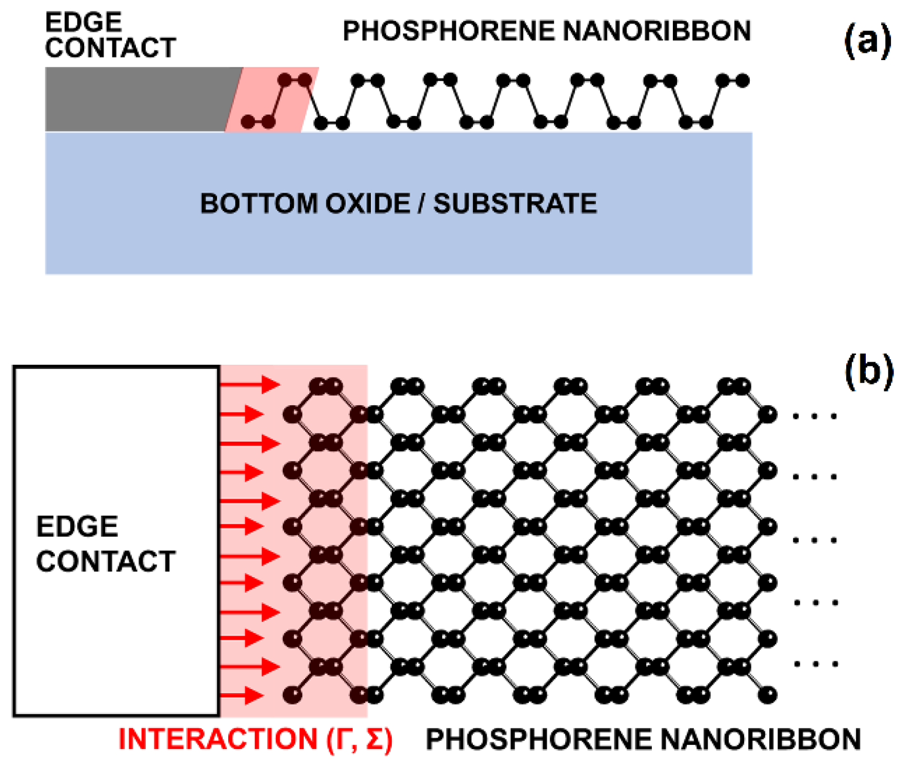 Nanomaterials 12 00656 g001