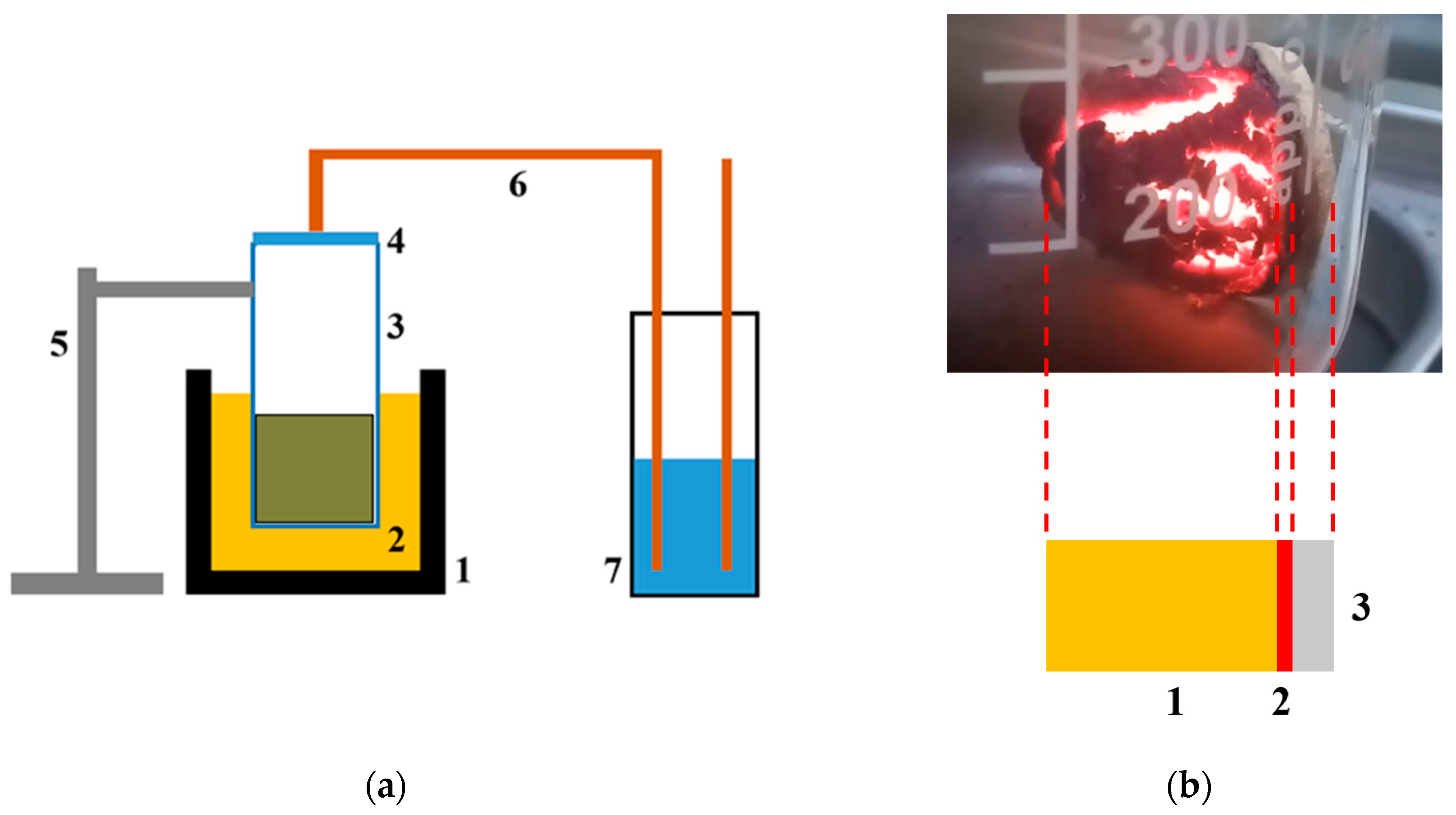 Nanomaterials 12 00657 g002 550