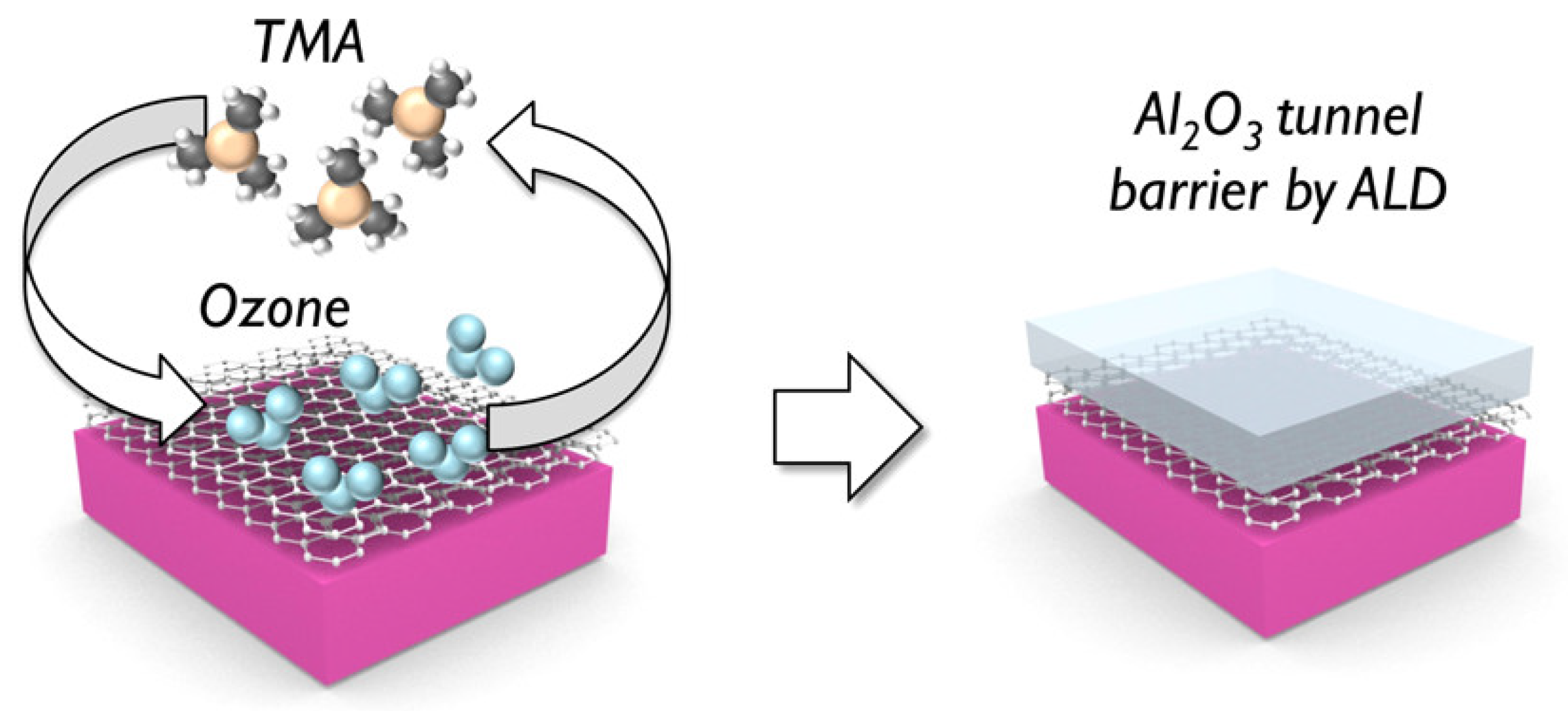 Nanomaterials 12 00661 g004 550