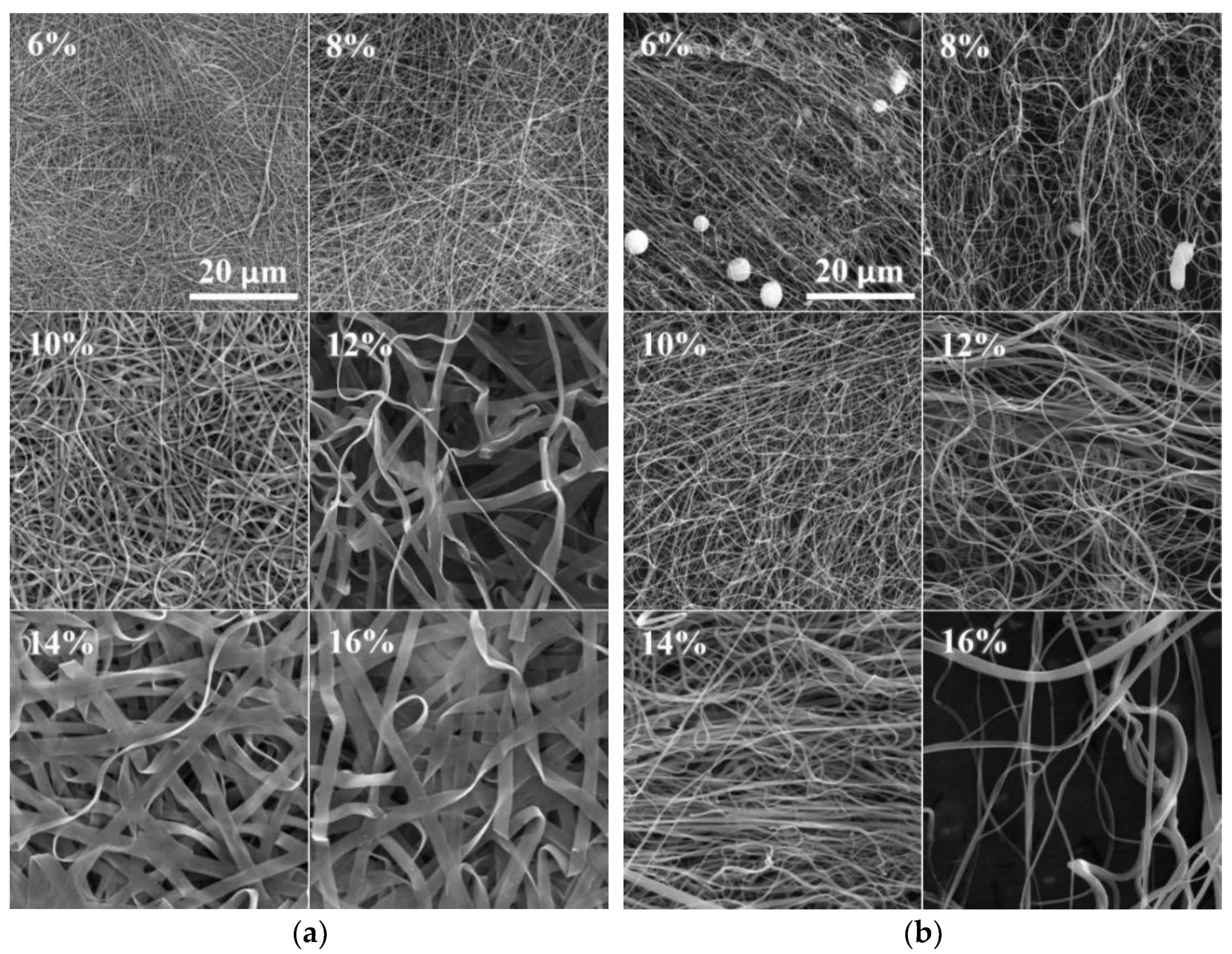 Nanomaterials 12 00665 g003 550