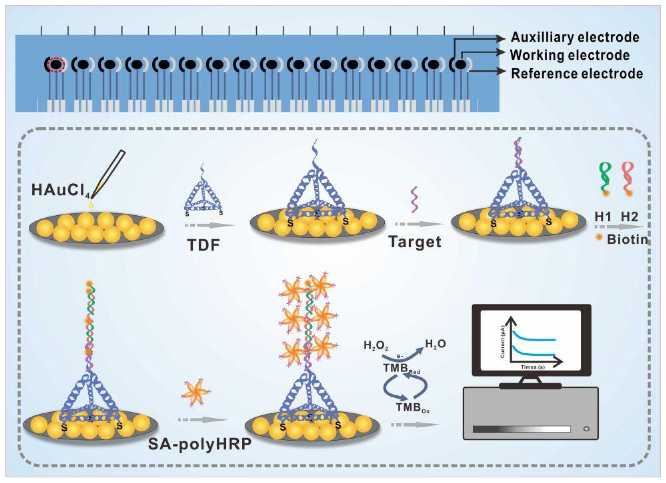 Nanomaterials 12 00666 g001