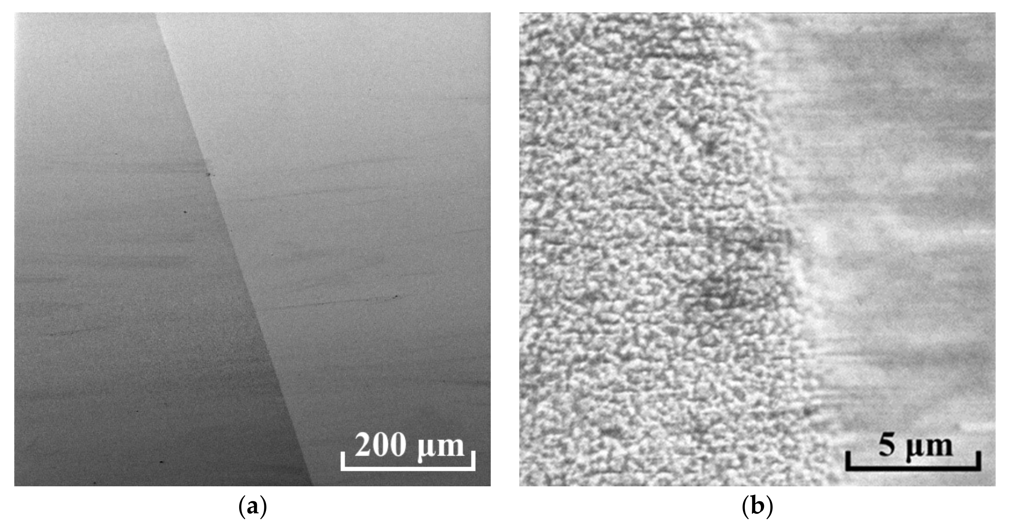 Nanomaterials 12 00670 g009