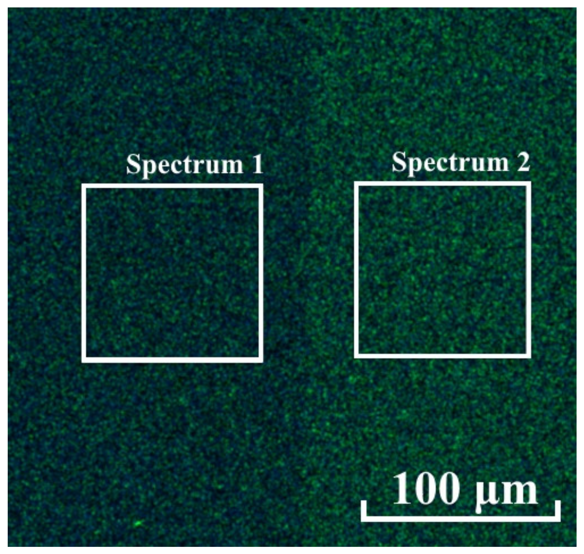 Nanomaterials 12 00670 g010