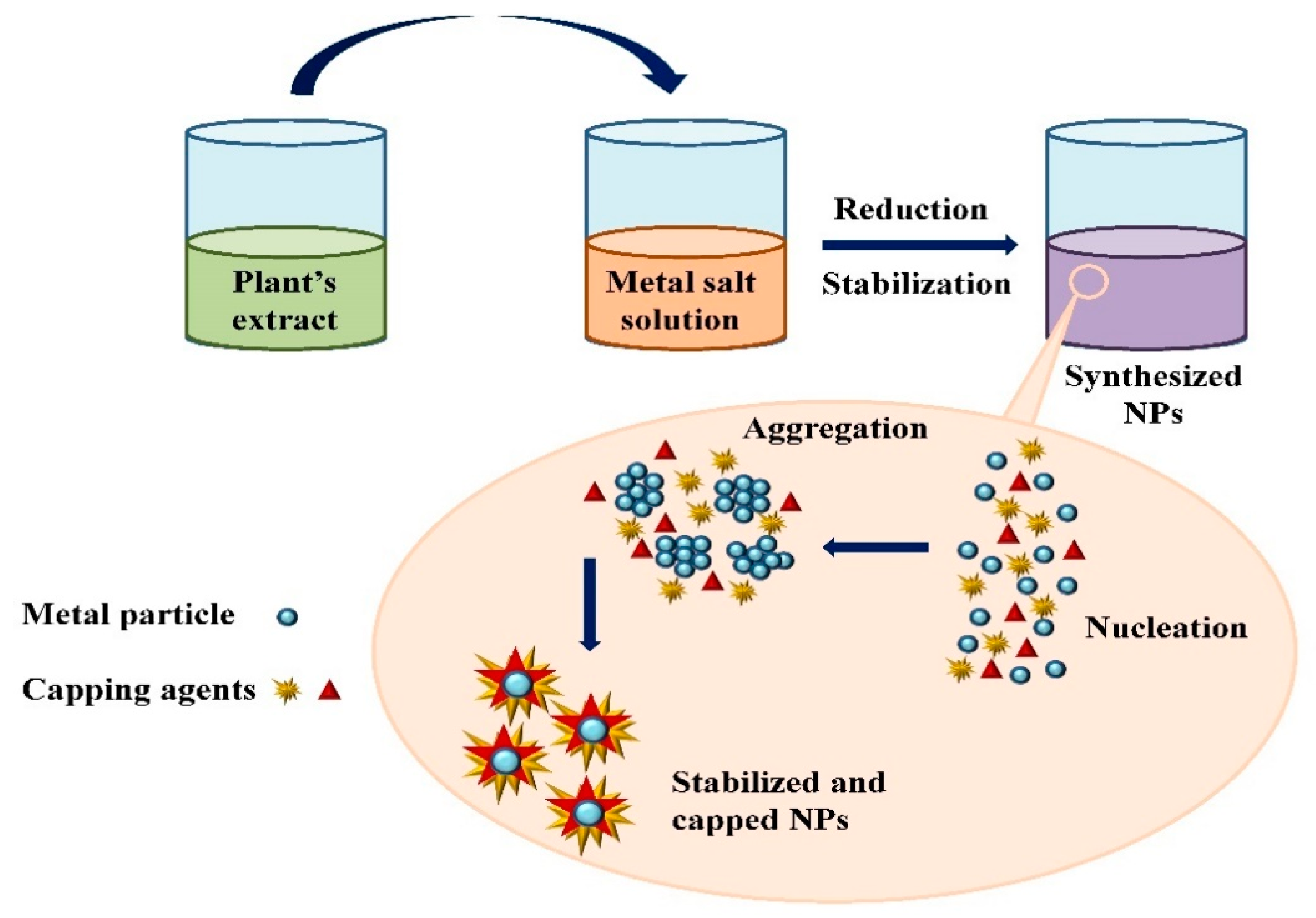 Nanomaterials Free FullText Green Nanotechnology PlantMediated Nanoparticle Synthesis and