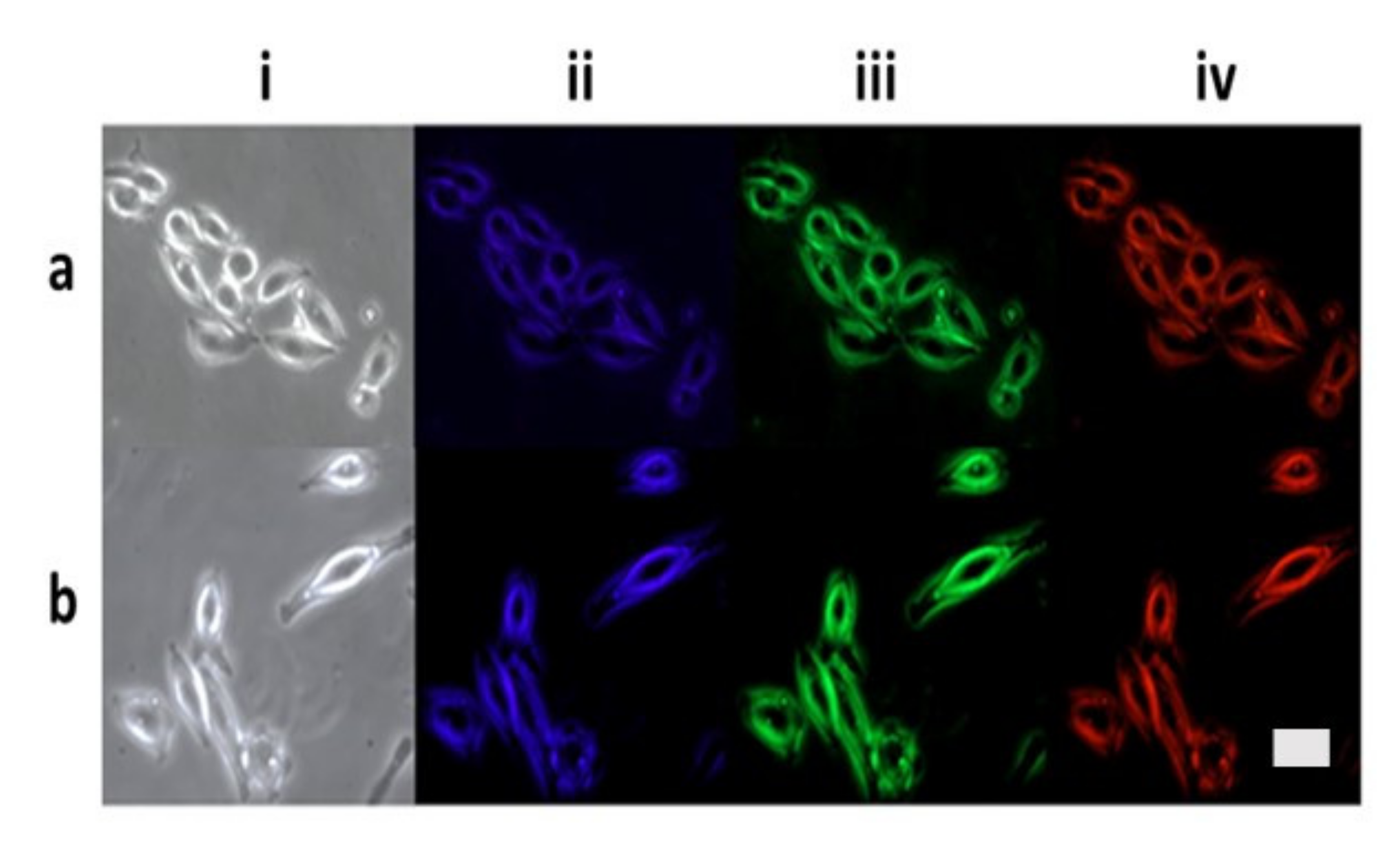 Nanomaterials 12 00674 g010 Nanomaterials 12 00674 g010