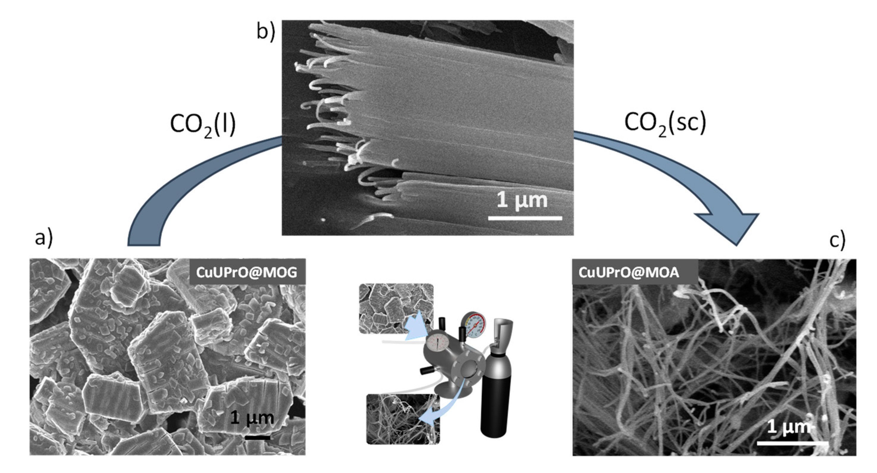 Nanomaterials 12 00675 g004