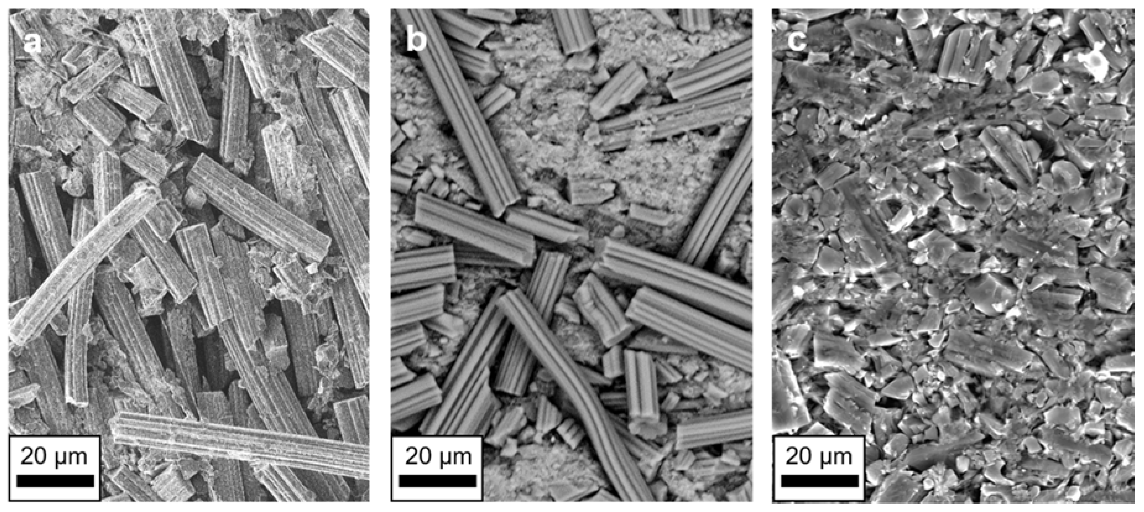 Nanomaterials 12 00677 g003