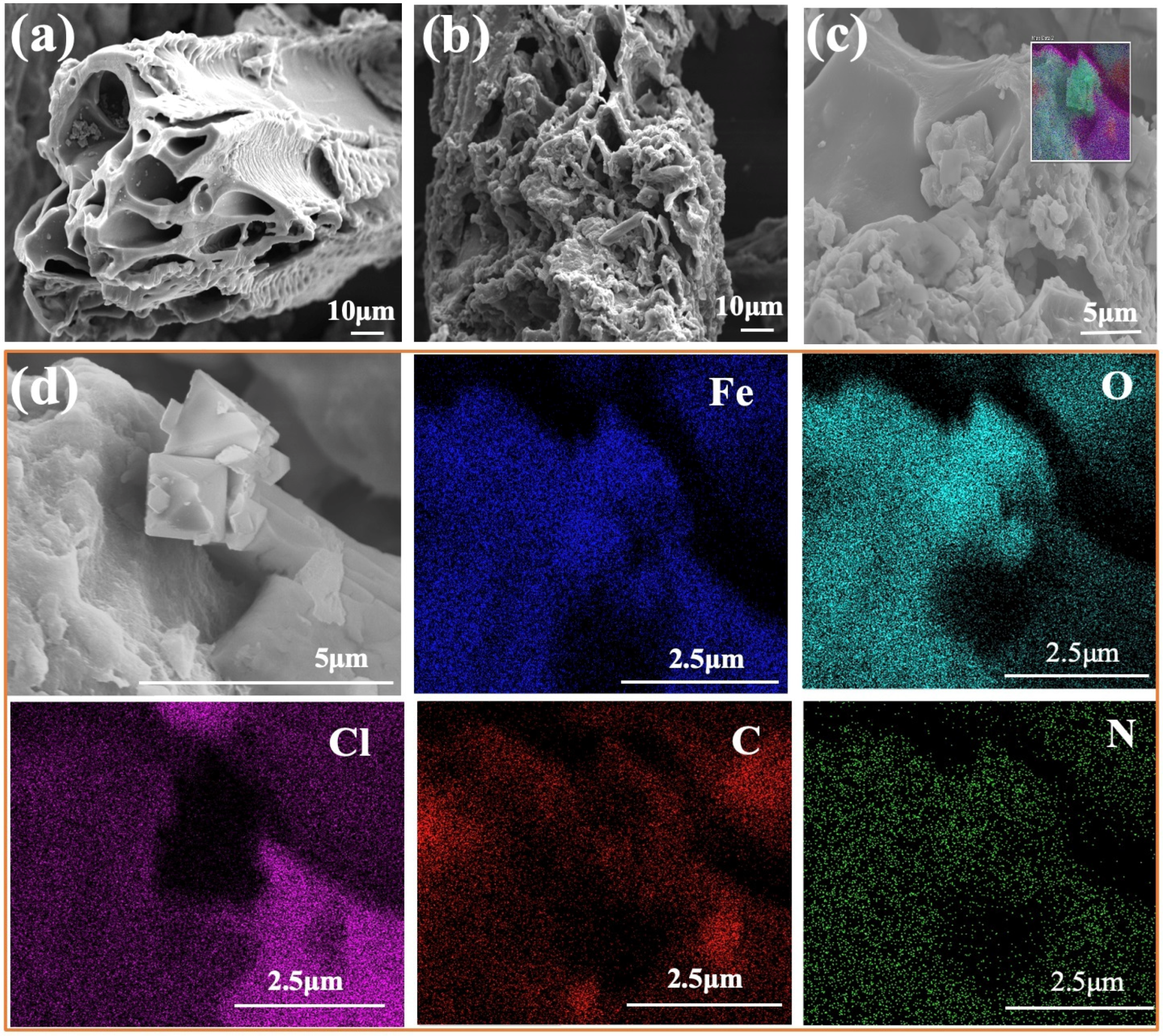 Nanomaterials 12 00678 g001