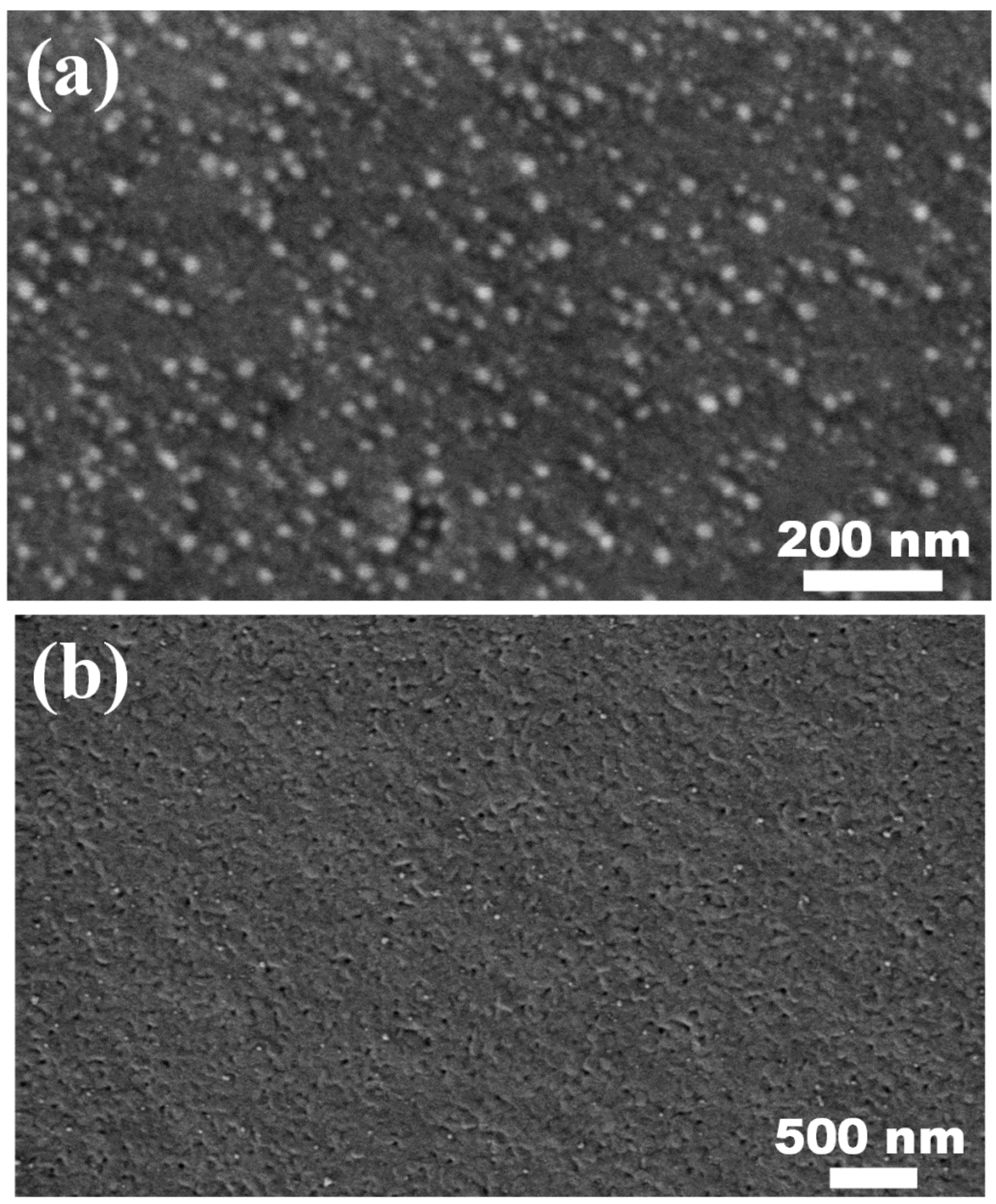 Nanomaterials 12 00681 g002a 550