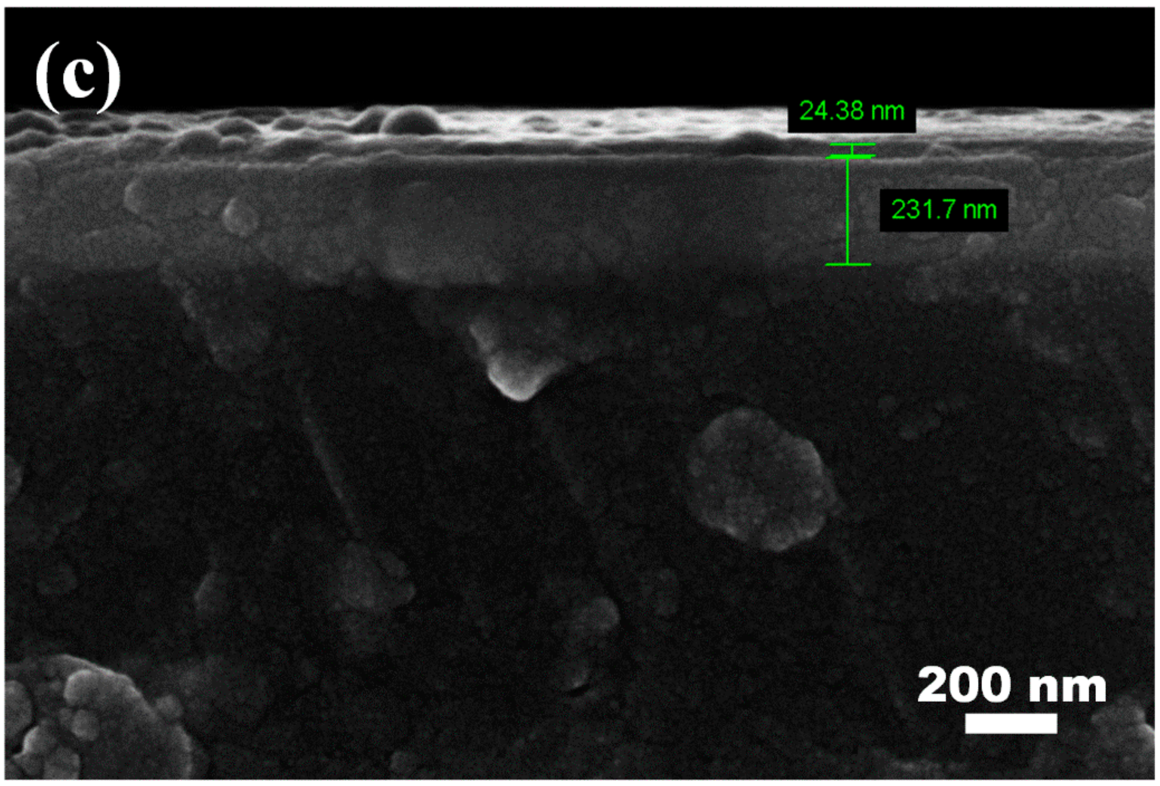 Nanomaterials 12 00681 g002b 550