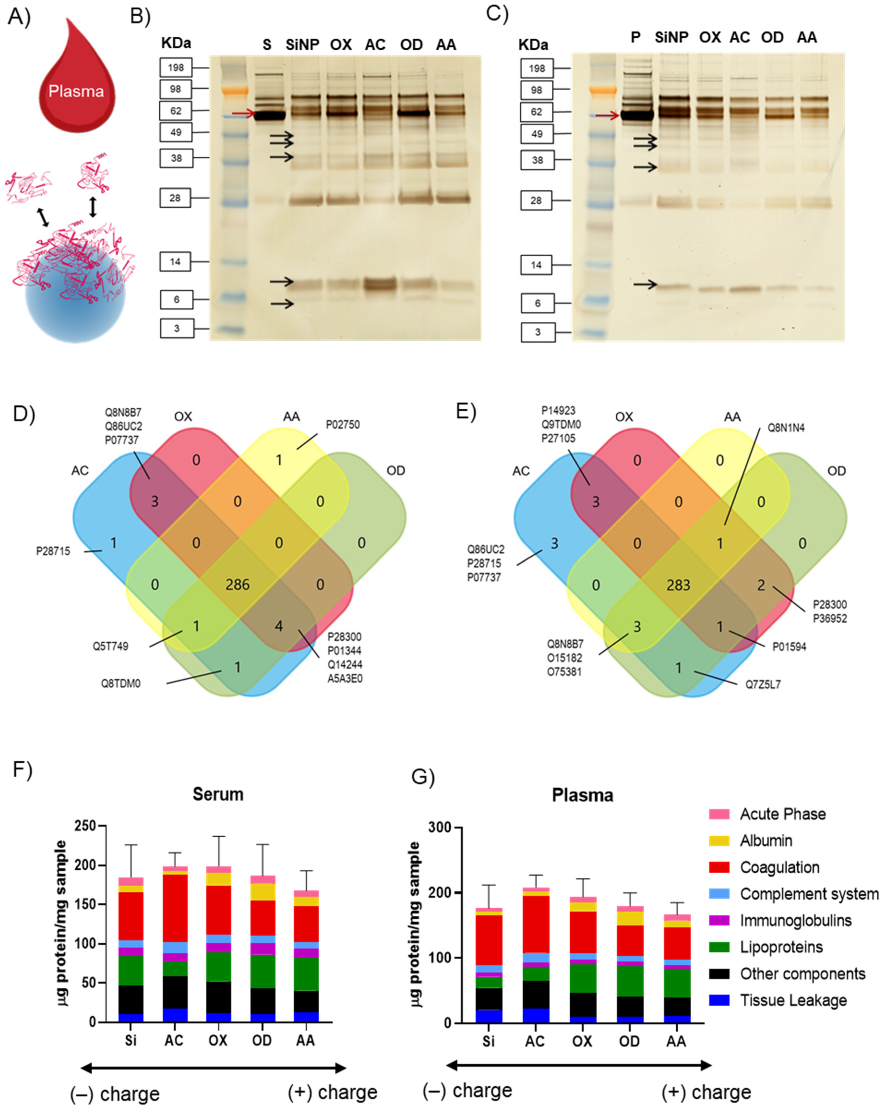 Nanomaterials 12 00682 g003