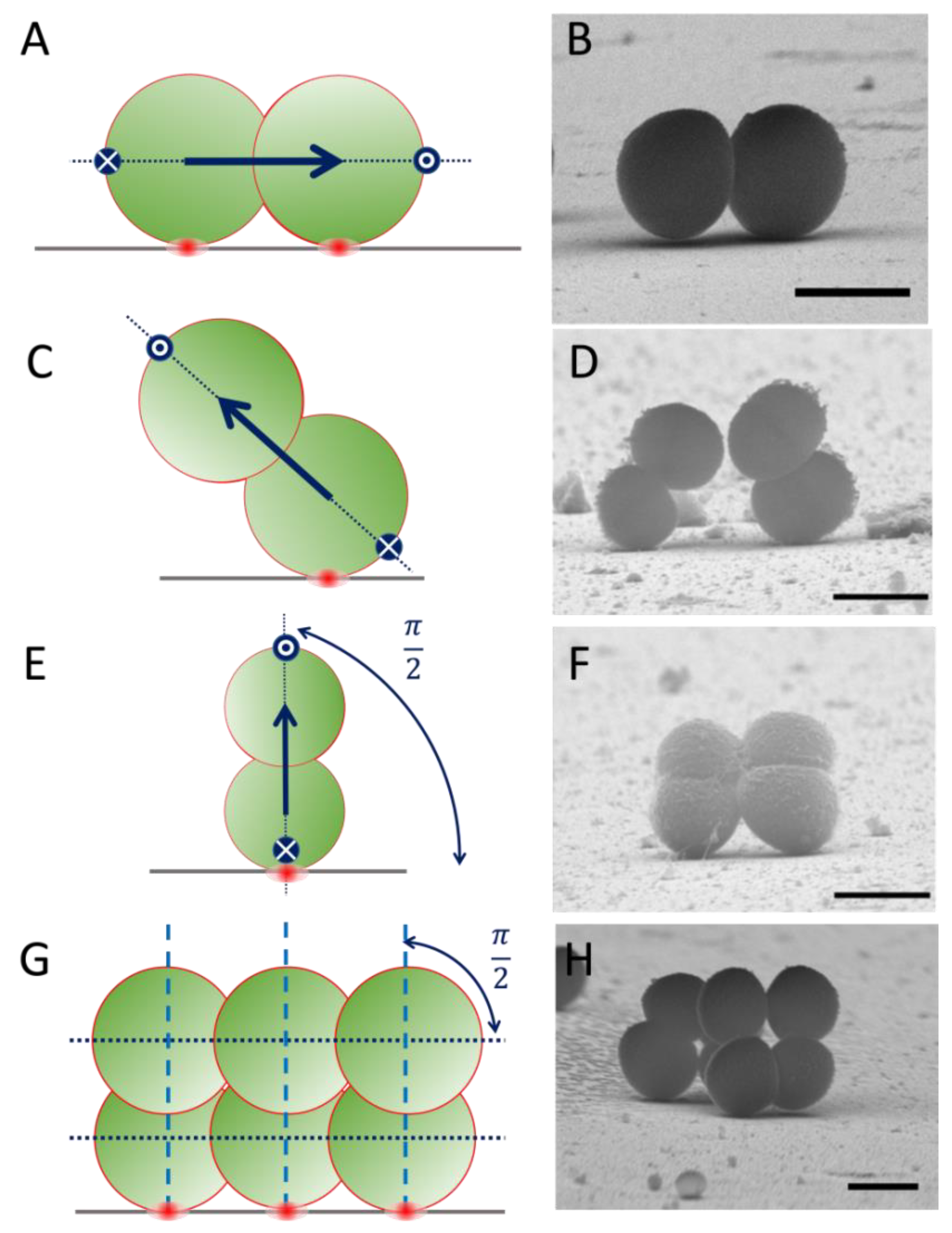 Nanomaterials 12 00683 g002