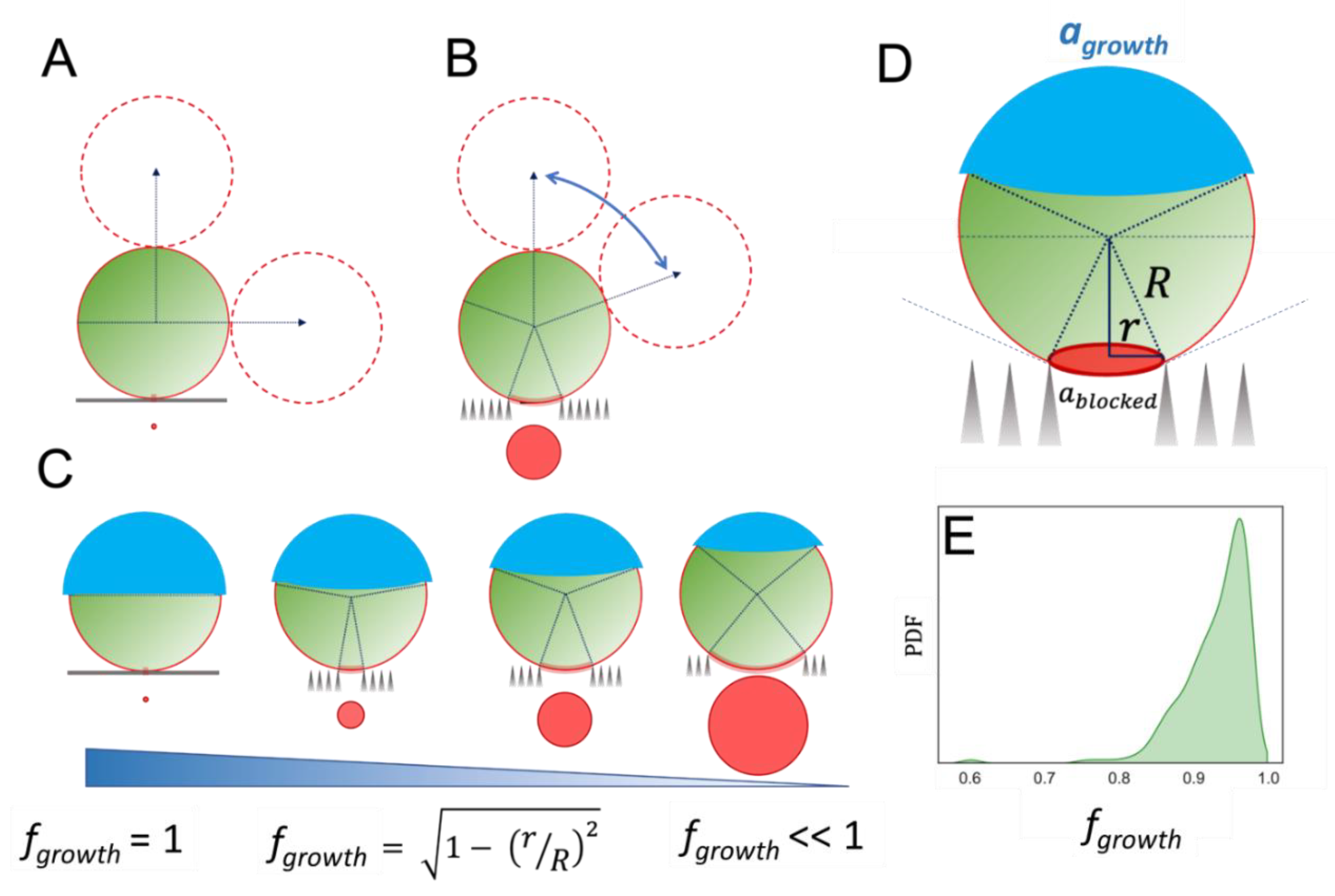 Nanomaterials 12 00683 g005
