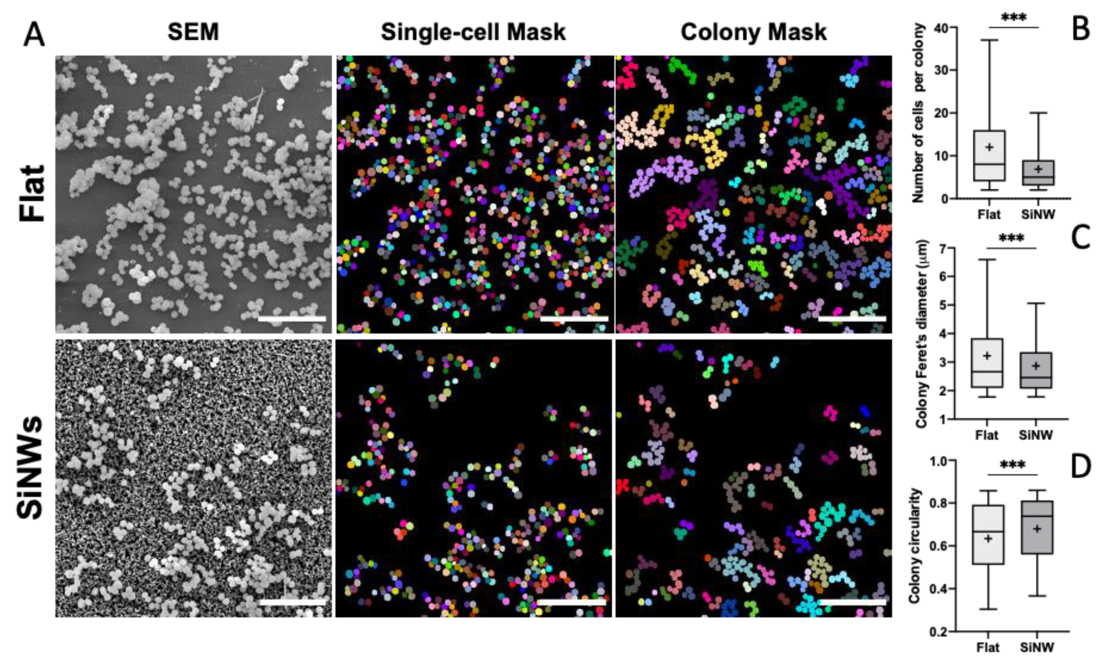 Nanomaterials 12 00683 g008